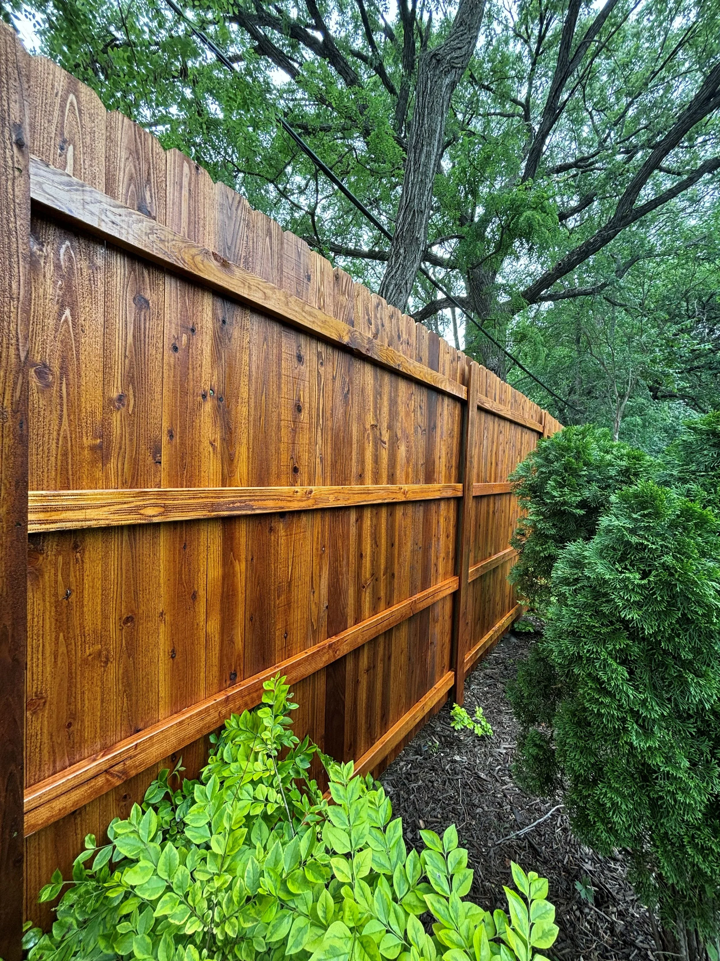cedar-fence-stain-seal-des-moines-iowa.jpg