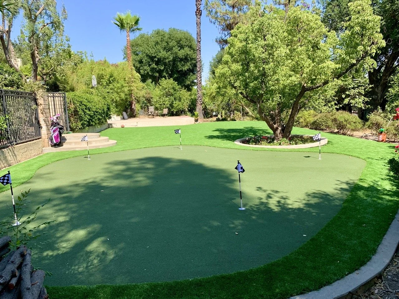 Putt 66 Back Large.jpeg