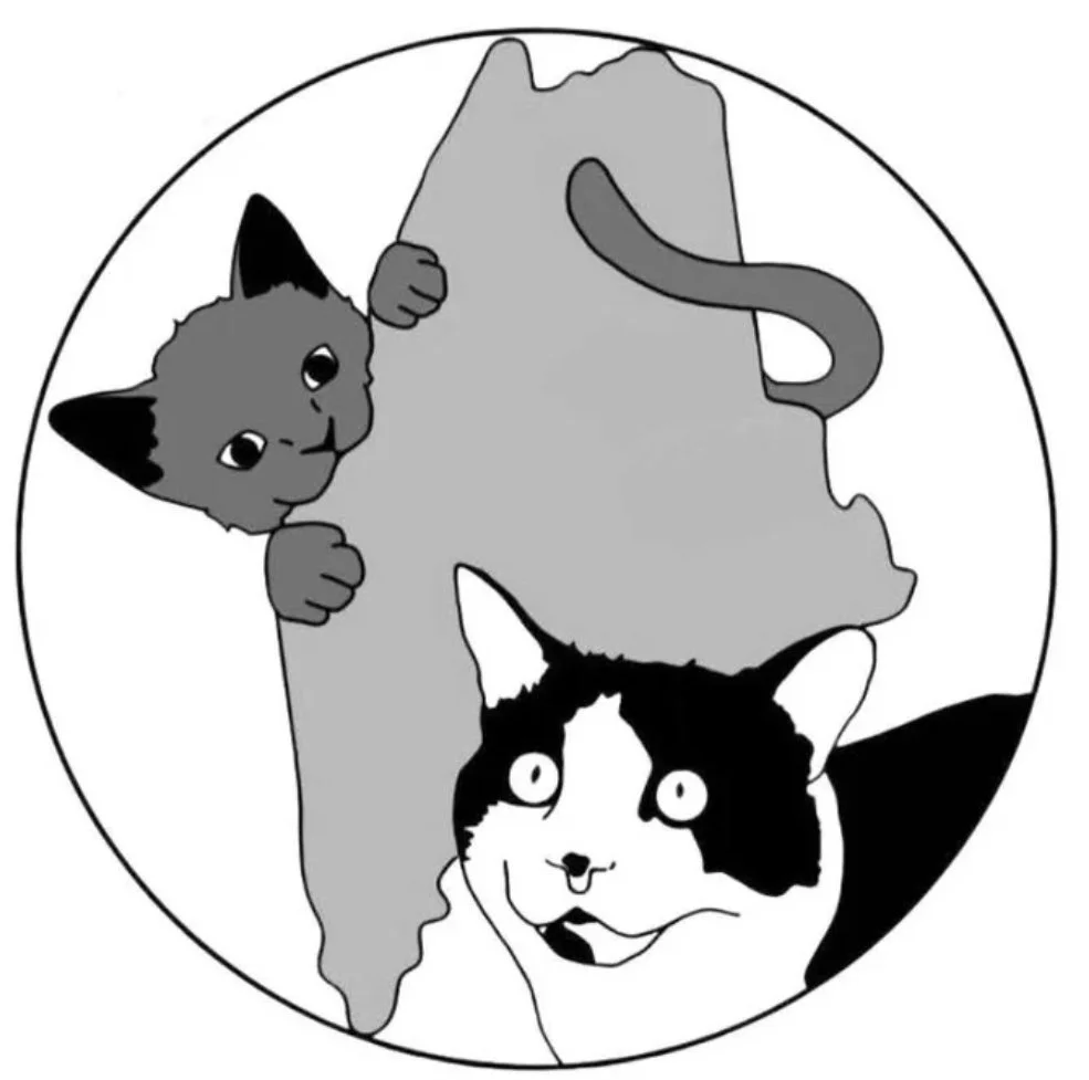 Forgotten Kitten Project of Maine 