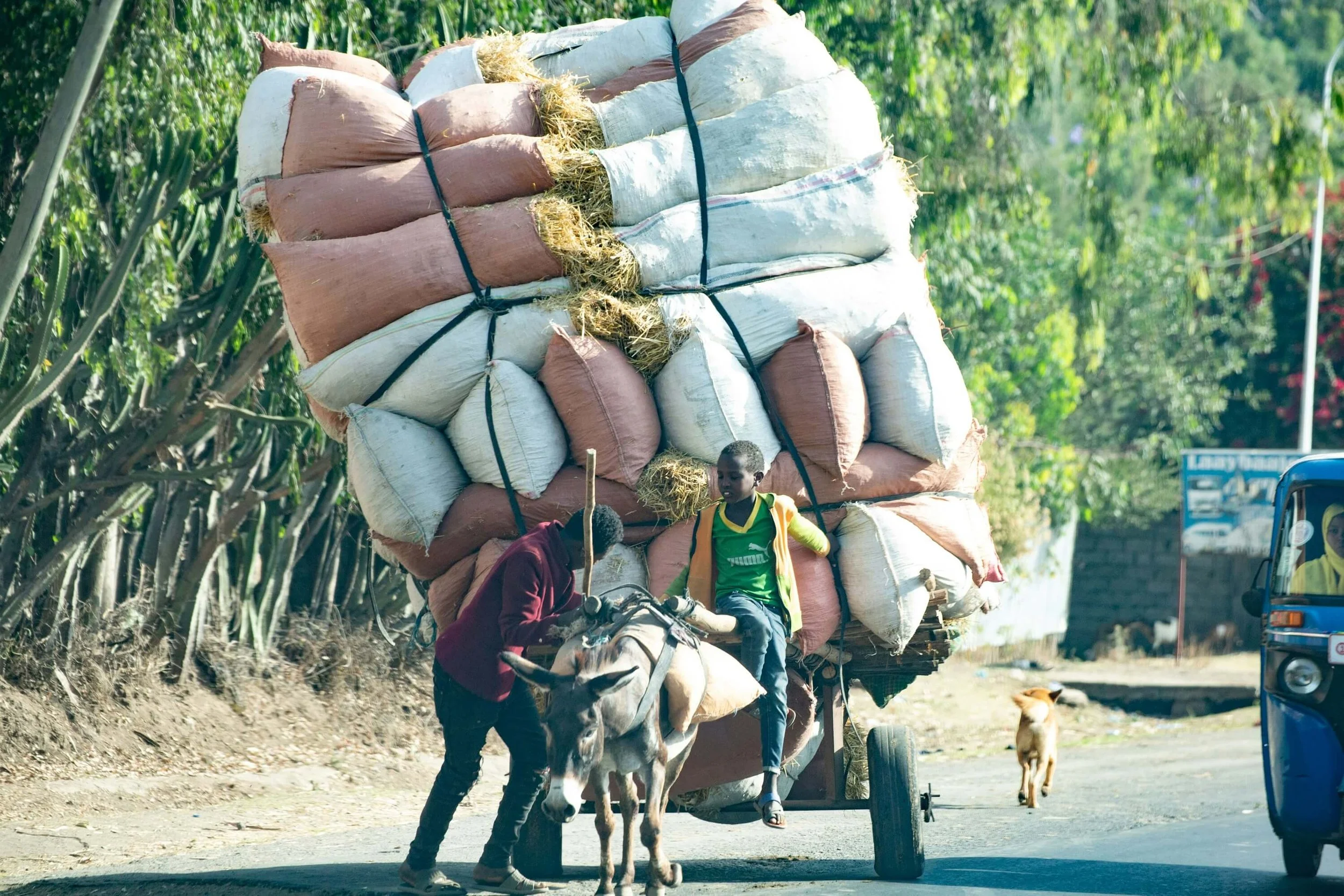 Knowing What’s Yours to Carry: What Is My Job, Your Job, and God’s Job?