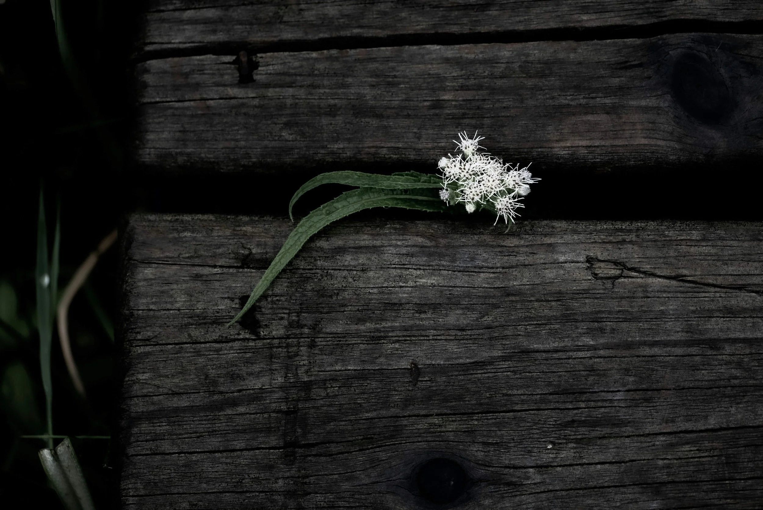 The 5 Questions to Build Resilience
