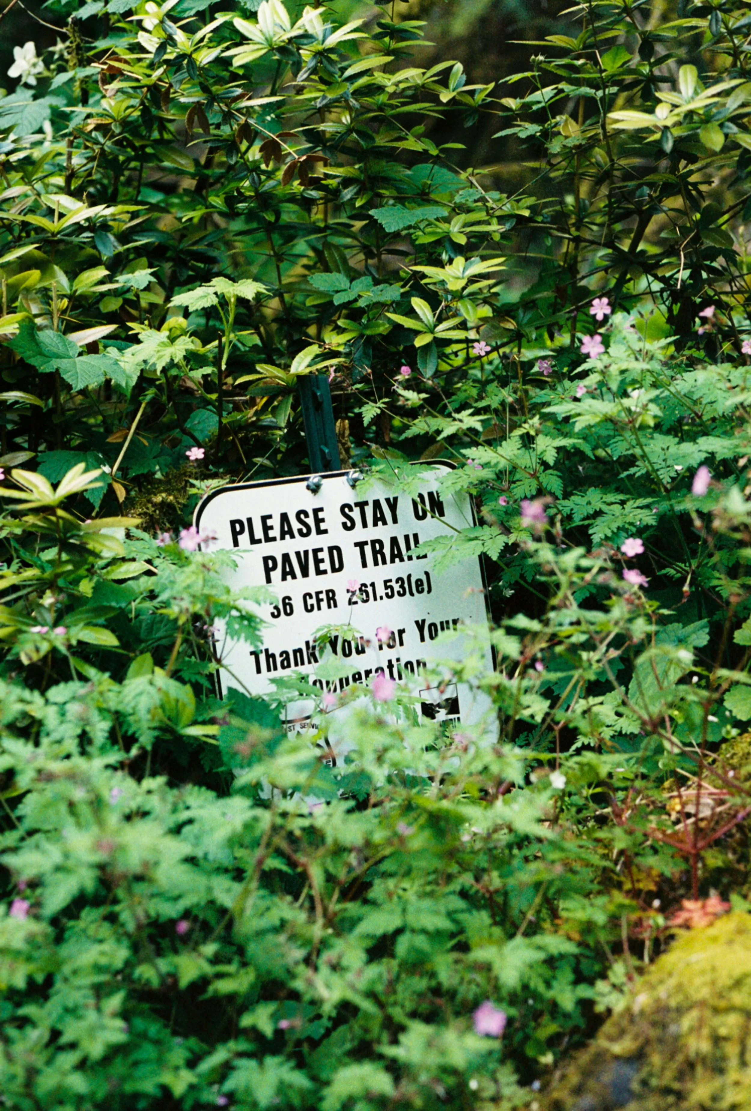 Boundaries vs. Requests: Knowing the Difference and How to Use Both with Love