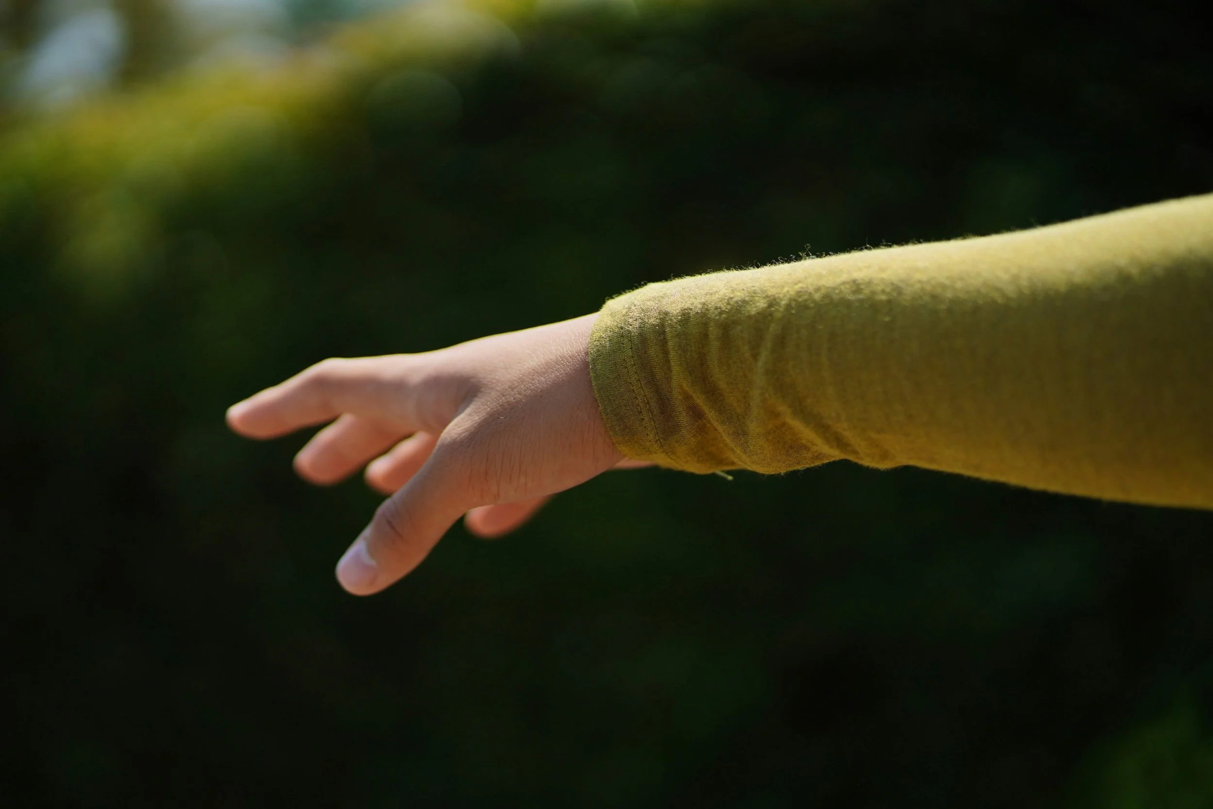 Reclaiming the Reach: How Trauma Interrupts Our Basic Developmental Patterns