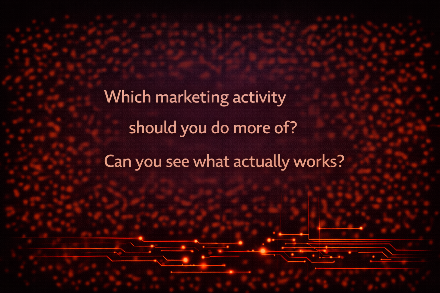 Which marketing activity should you do more of?