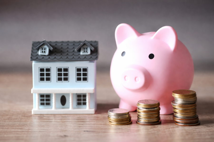 A little story about pigs, business and me...