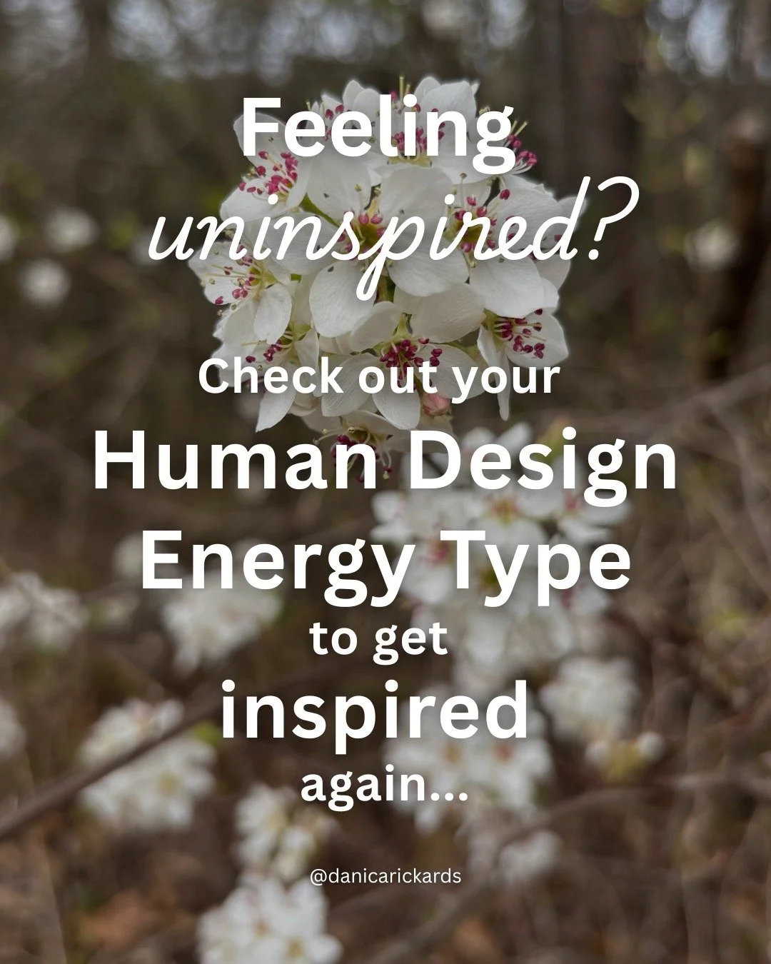 Here's an offering to take one small aligned action today to work with your energy type.

Save this for the next time life feels a little flat. 🤍

#HumanDesign #HumanDesignCommunity #KnowYourDesign #HumanDesignTypes