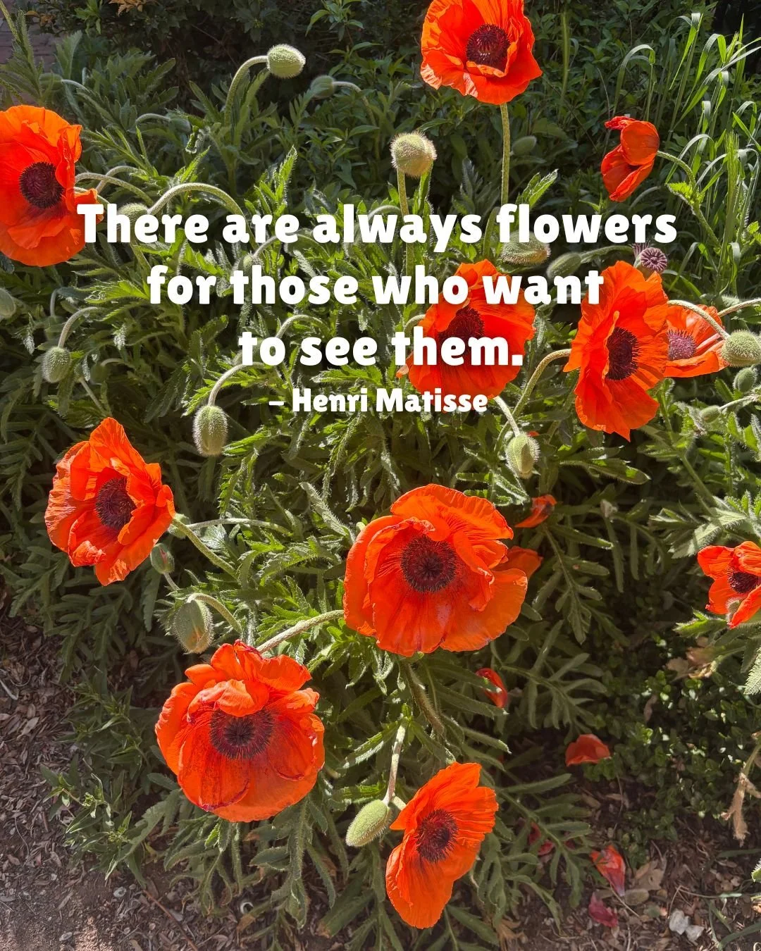 When I was getting my masters degree and working full time, I worked at an elementary school. During this time, I ended up working with my favorite principal of my art teacher career. Weekly, he would say, "choose to see the good stuff!" By