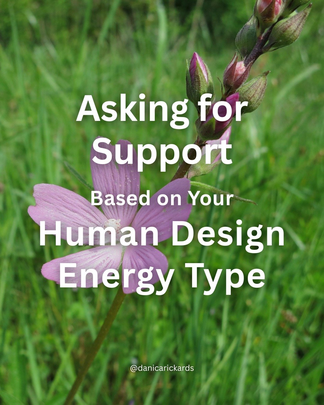 Sometimes it can be hard to ask for help, but our friends, family and communities are here to support us. 

This week, use your energy type's wisdom for asking for support and see if anything can feel a little lighter. 💓