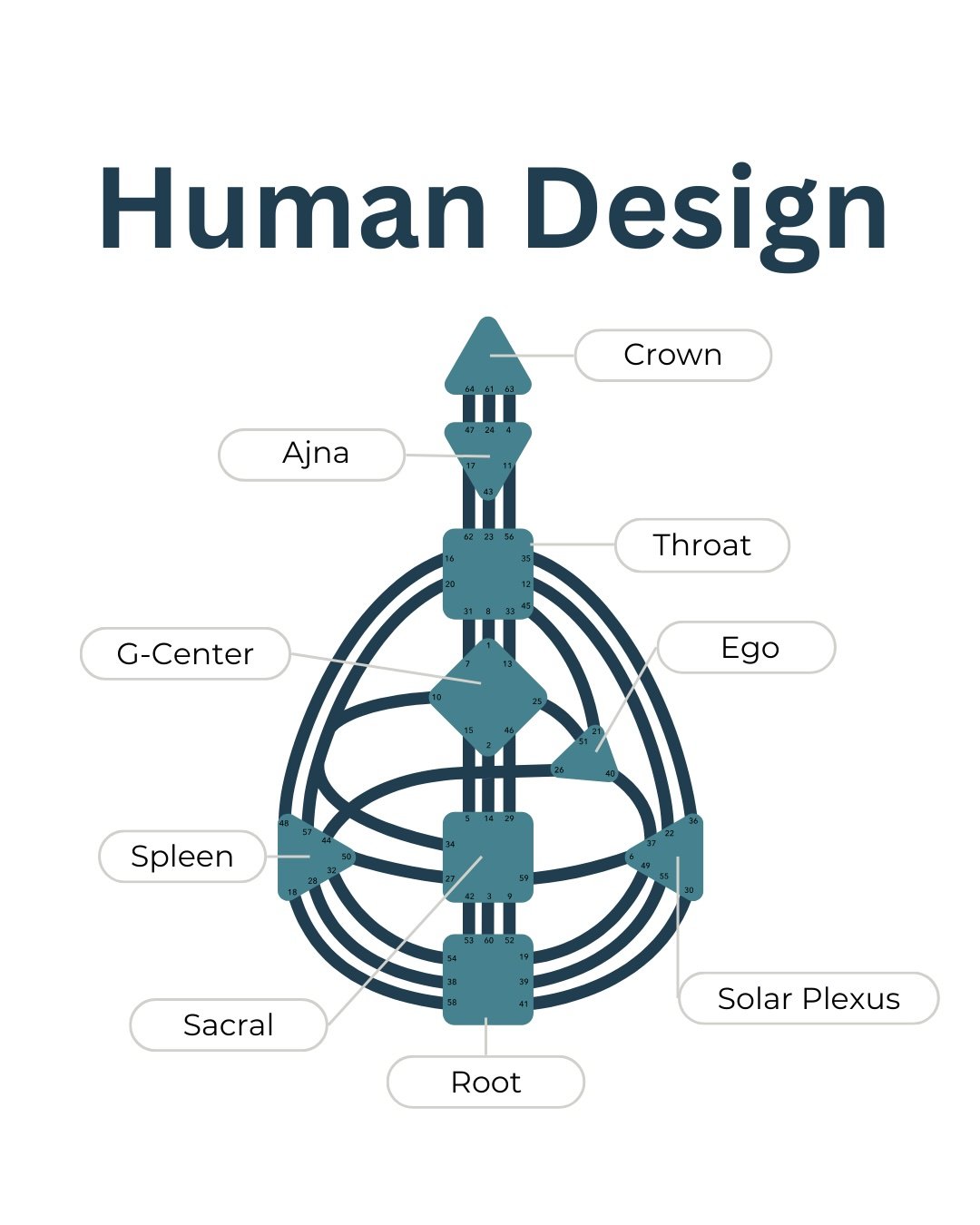 What is Human Design?