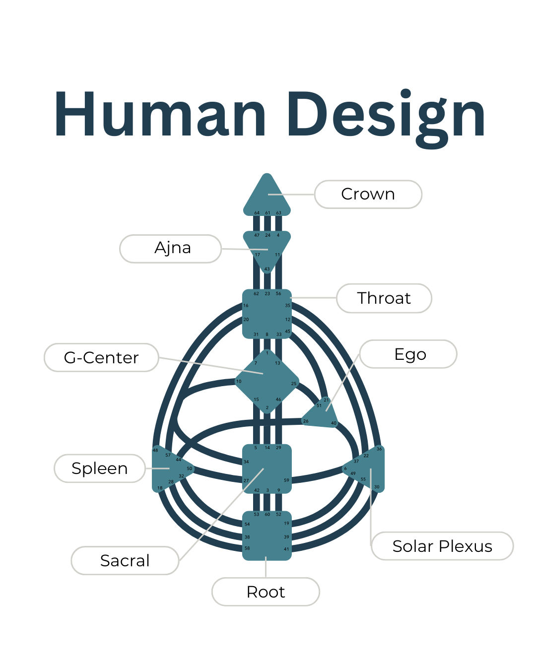 What is Human Design?