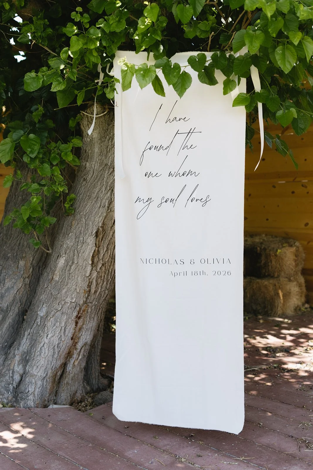 ElianaGracePhotography2026_Olivia&NickWedding-13.jpg