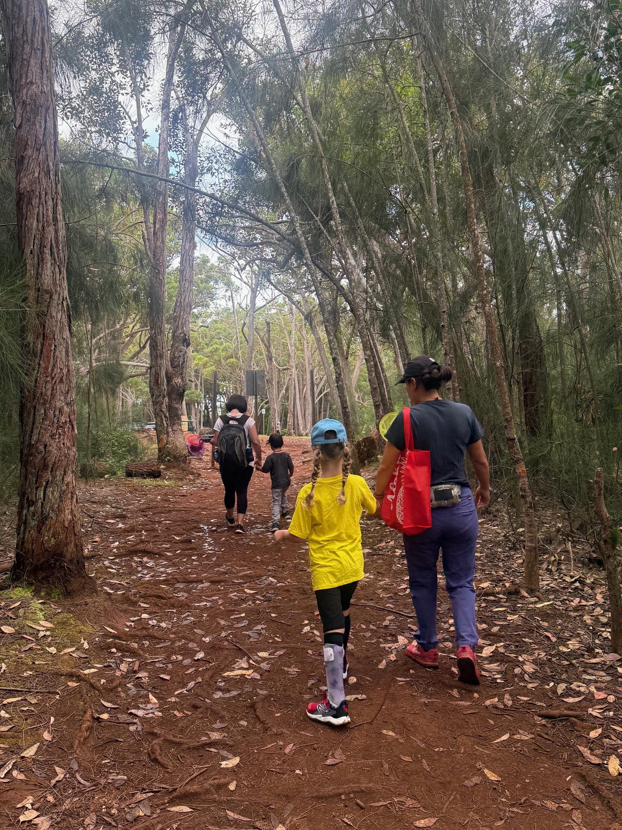 Growing Wild Kids Exploratory Playgroup North Shore-All abilities (ages 3-5yr) 