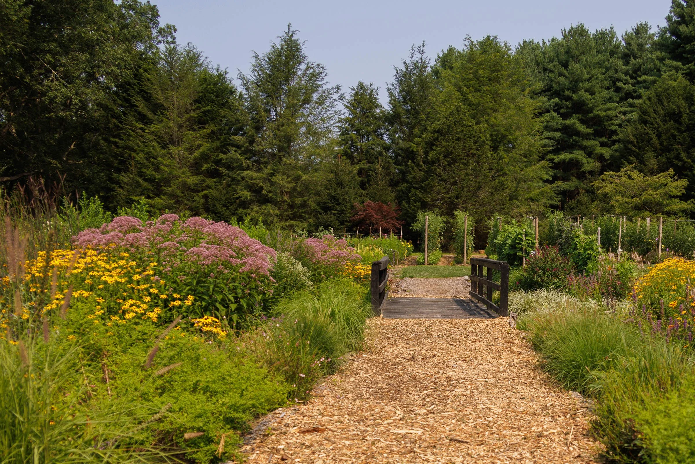 BEDFORD_FARMS_0825_00050-LOWRES.jpg