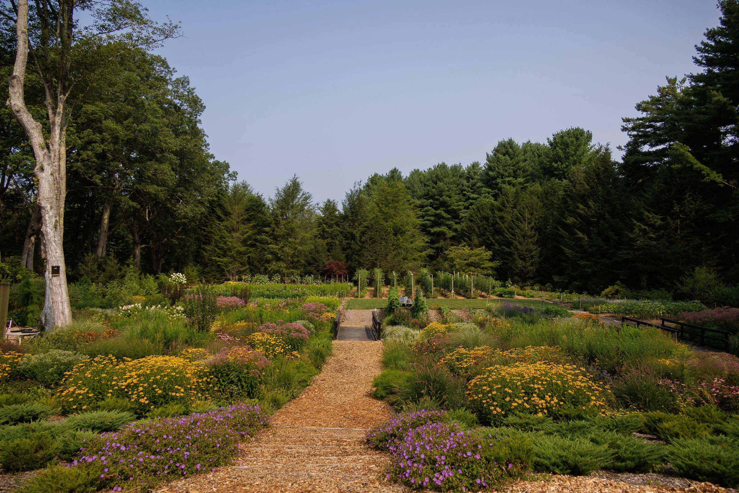 BEDFORD_FARMS_0825_00039-LOWRES.jpg
