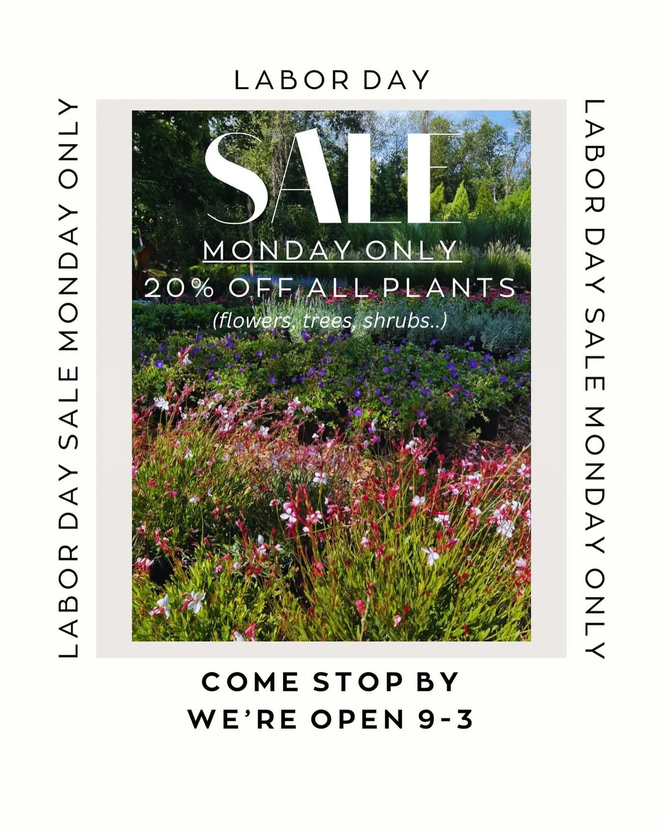 Open this Monday, Labor Day, from 9am-3pm.

20% off all plants MONDAY ONLY! 

#bedfordny #bedfordfarms #plantsale #labordaysale #greenwichct