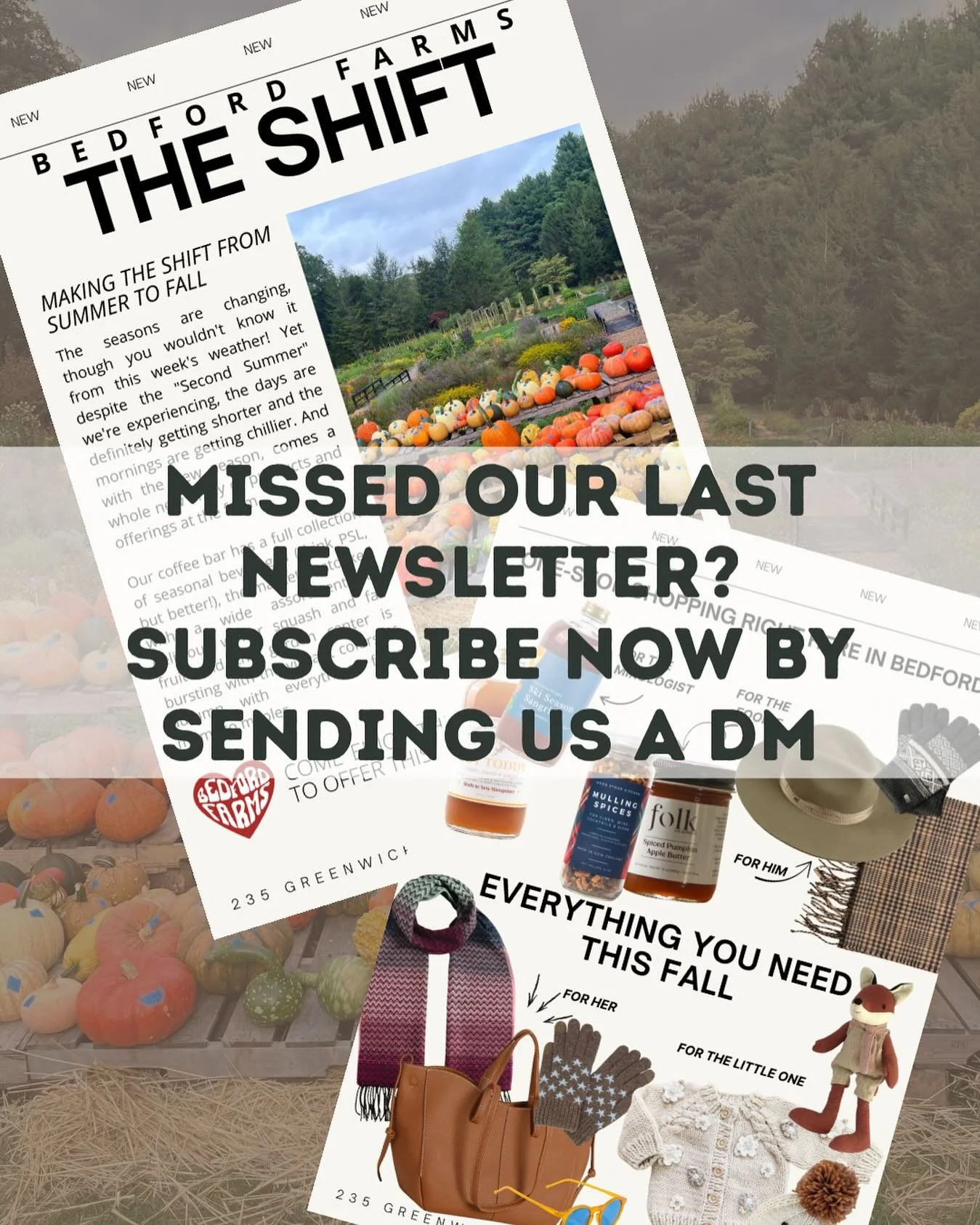 Stay in the loop 🌿 Our newsletter is packed with the latest from Bedford Farms - new arrivals, market + caf&eacute; updates, event info, and exclusive discounts! Missed the last one? Send us a DM or go to our website www.bedford-farms.com and scroll