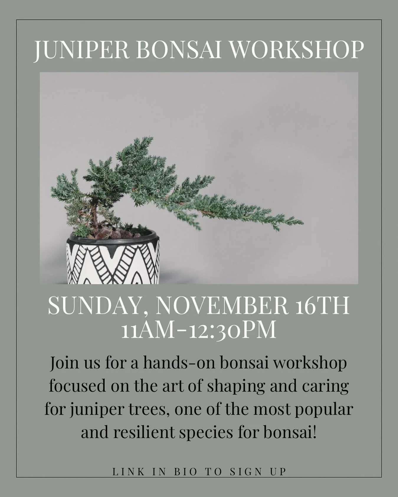 Join us for a hands-on bonsai workshop focused on the art of shaping and caring for juniper trees, one of the most popular and resilient species for bonsai! In this class, you&rsquo;ll learn essential techniques such as pruning, wiring, and styling t