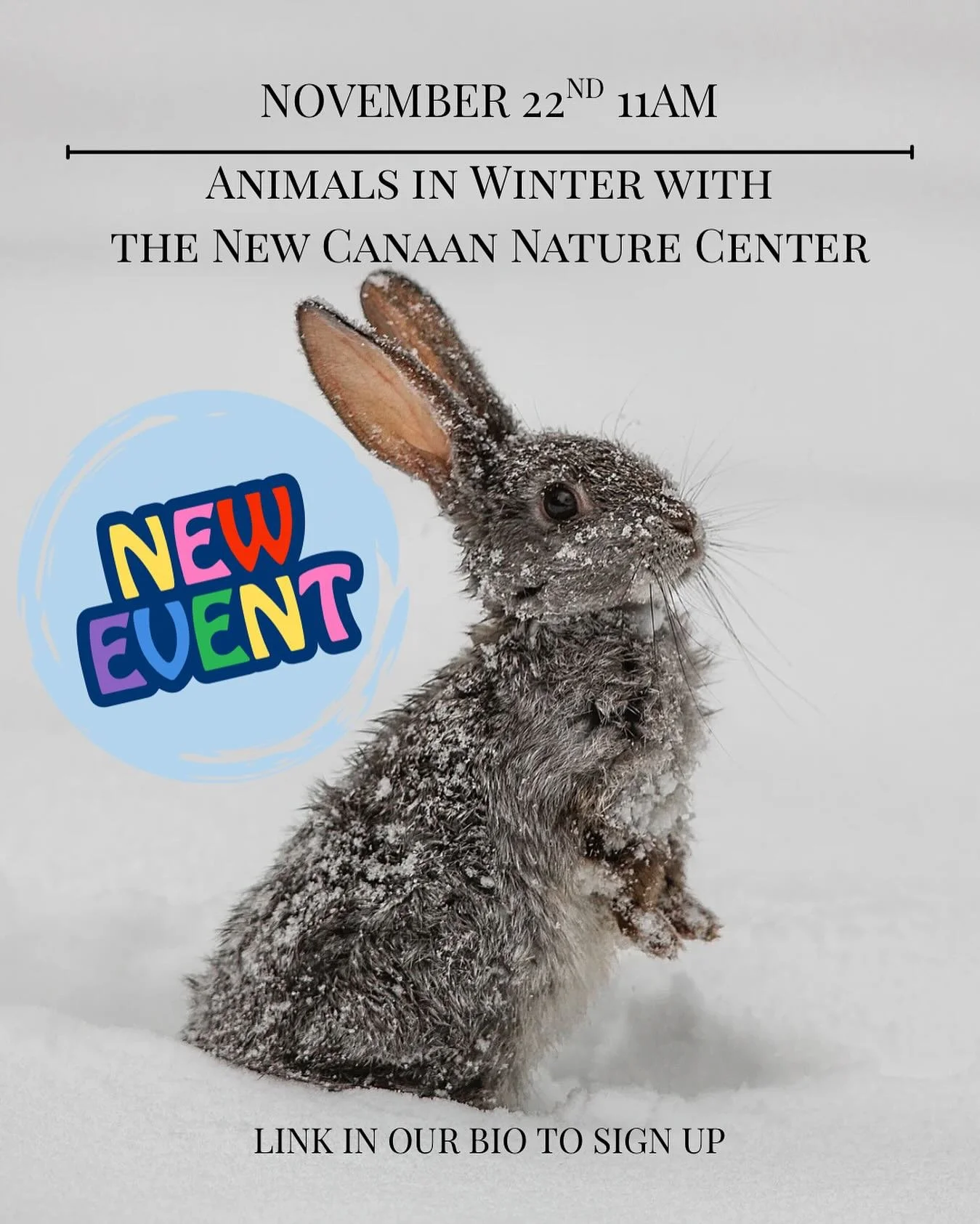 Join us Saturday, November 22nd from 11am-12pm: Explore the secret signals that tell animals winter is on its way! Through live animal encounters, engaging activities, and hands-on exploration, you&rsquo;ll learn about the unique strategies animals u