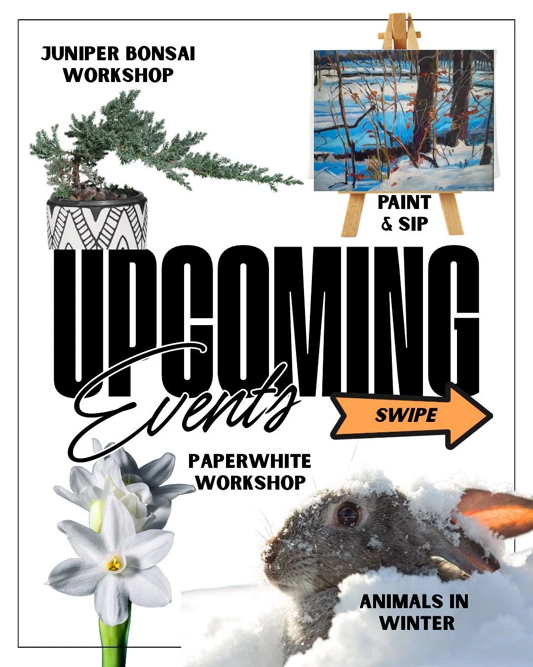 Slow down, get creative, and celebrate the season with us at Bedford Farms! 

We&rsquo;ve got something for everyone&mdash;quick bulb-planting sessions, family-friendly animal encounters, a cozy sip &amp; paint, and a peaceful bonsai workshop.

Come 