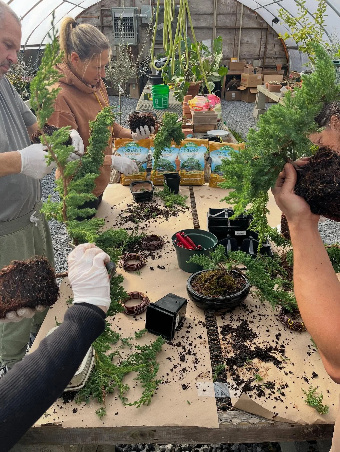 Our Juniper Bonsai Workshop this past weekend was such a peaceful, hands-on escape. ✨

Participants learned pruning, wiring, styling, and the art of slowing down with their trees &mdash; and everyone left with a beautifully shaped juniper to continue