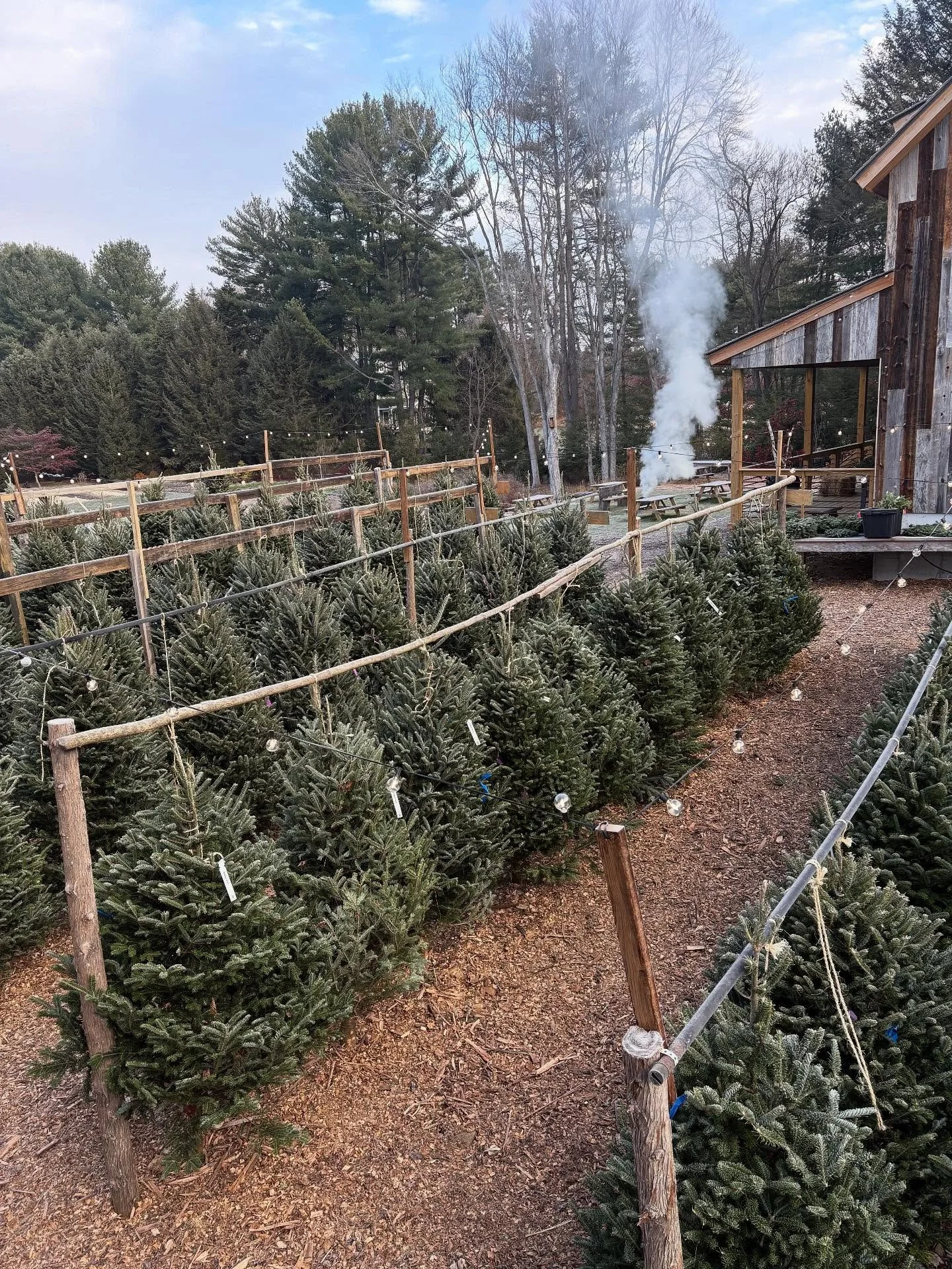 Christmas trees are here at Bedford Farms! We stock only premium Fraser fir in multiple sizes ranging from 5&rsquo; to 12&rsquo;. We also offer delivery and install to help make your holiday setup a little easier! Come for a tasty hot latte and stay 