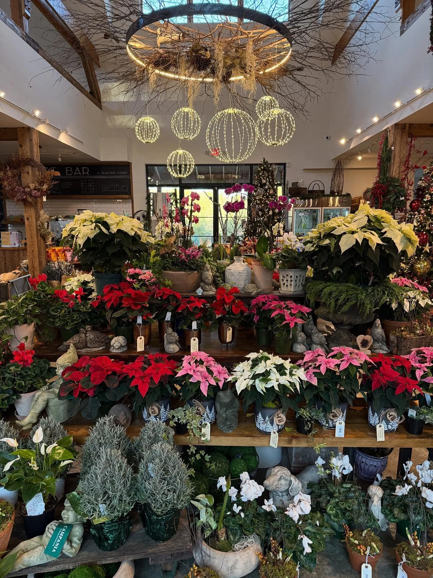 It&rsquo;s Black Friday and we are excited to kick off the holiday season! The shop is twinkling and the mood is just right. Come pick out the perfect Christmas tree, find some stocking stuffers or a beautiful hand decorated wreath. Or just come enjo
