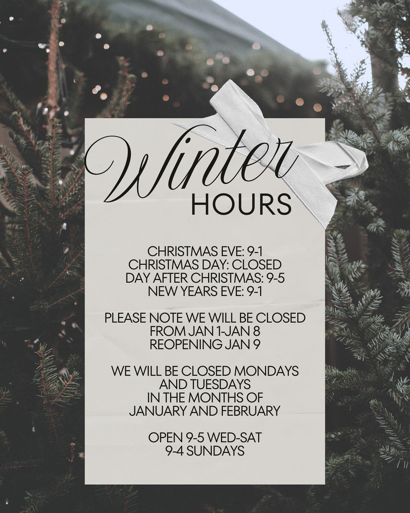 Winter Hours:

Christmas Eve - 9-1
Christmas Day - Closed
Day after Christmas - 9-5
New Years Eve - 9-1

We will be closing New Years Day and reopening January 9th. Please note, we will be closed Monday and Tuesday in the month of January and Februar