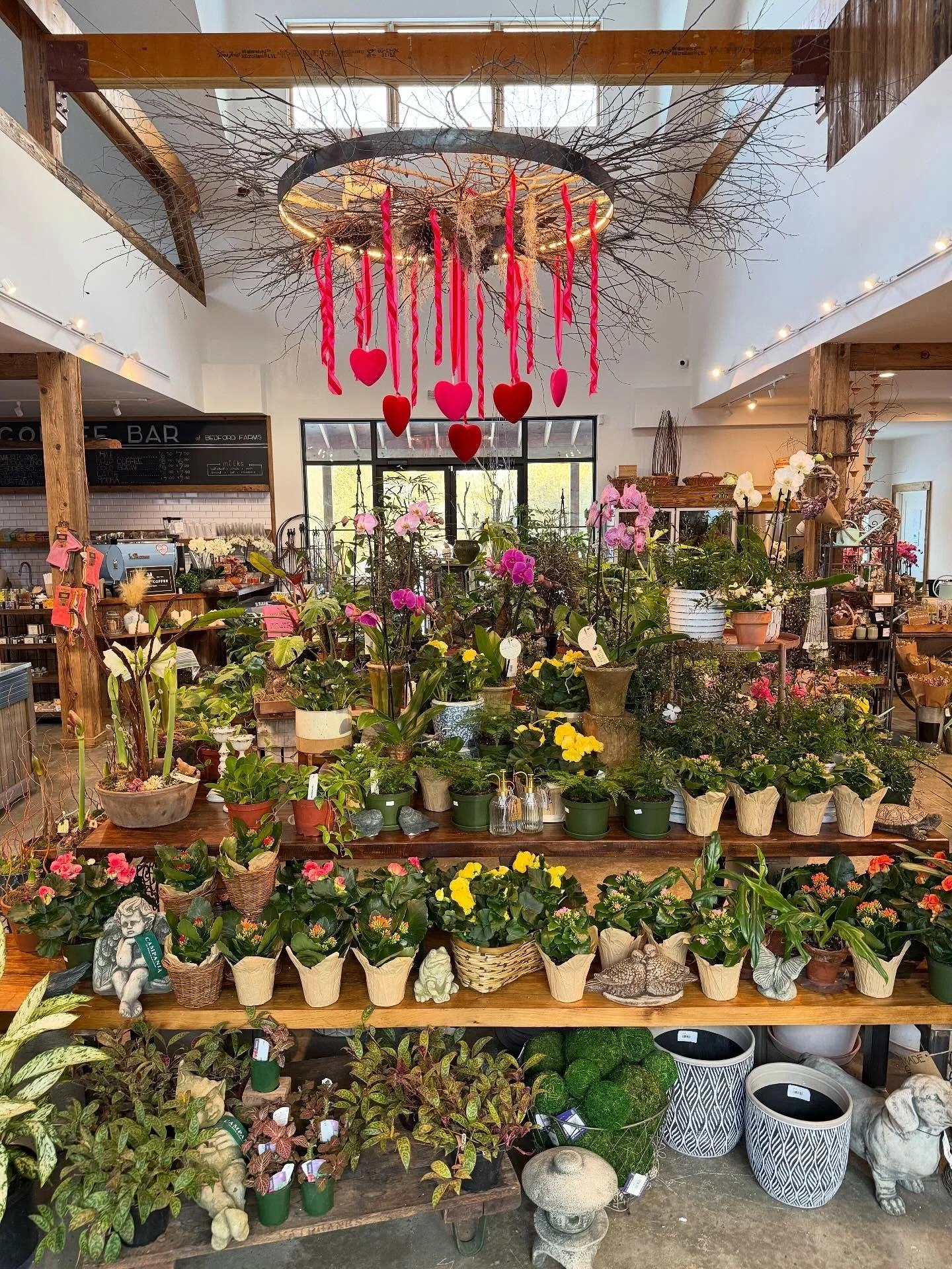 💘 Valentine&rsquo;s Day Refresh 💘 

Fresh in the shop, we&rsquo;ve got all kinds of gorgeous flowering plants, handmade flower arrangements, dried bouquets and all the gifts you could ever want. Valentine&rsquo;s Day or not, who couldn&rsquo;t use 
