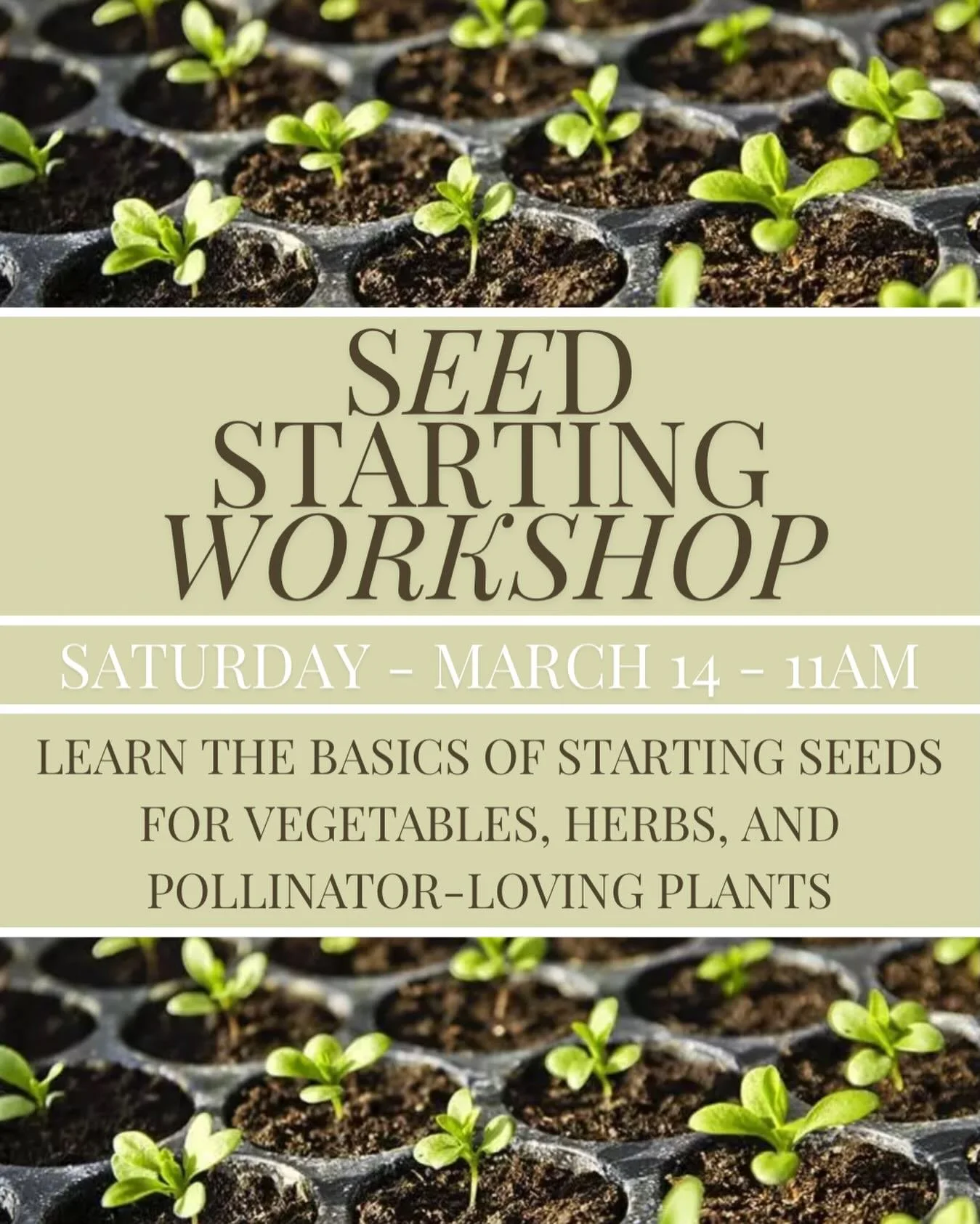 Join us in the greenhouse for a Seed Starting workshop that&rsquo;s perfect for beginners. Learn the basics of starting seeds for vegetables, herbs, and pollinator-loving plants. We&rsquo;ll cover simple techniques for planting, watering, and caring 