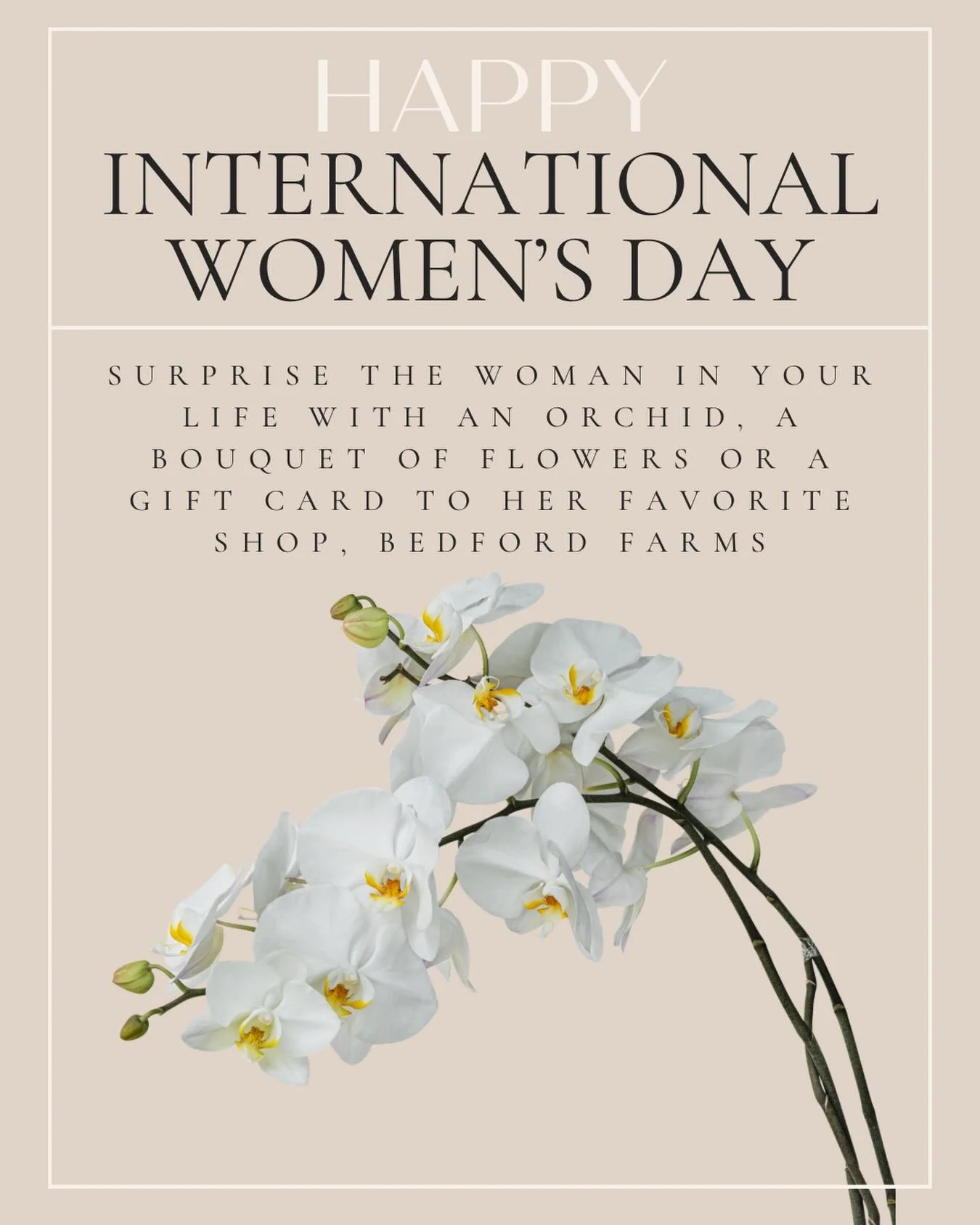 This Sunday is International Women&rsquo;s Day! Don&rsquo;t fumble the 💼. We&rsquo;ve got a wide selection of gifts for the special woman in your life. Orchids, flowers, chocolates or just a gift card to the store.