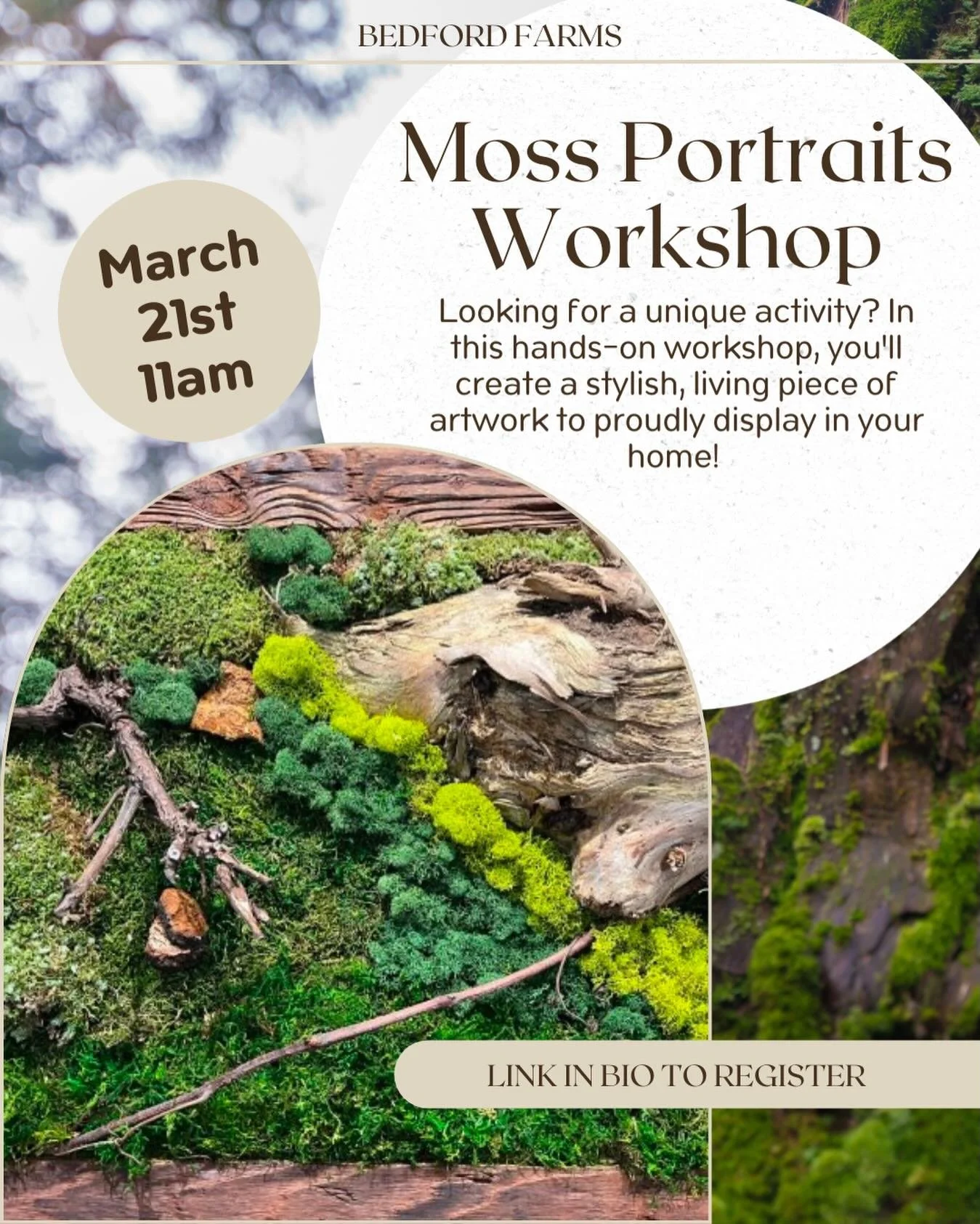 Join us on Saturday, March 21st at 11am for our Moss Portraits Workshop. Create your own moss portrait that you can take home and hang on your wall. Preserved moss portraits require no maintenance and stay green - no spraying necessary! Portraits wil