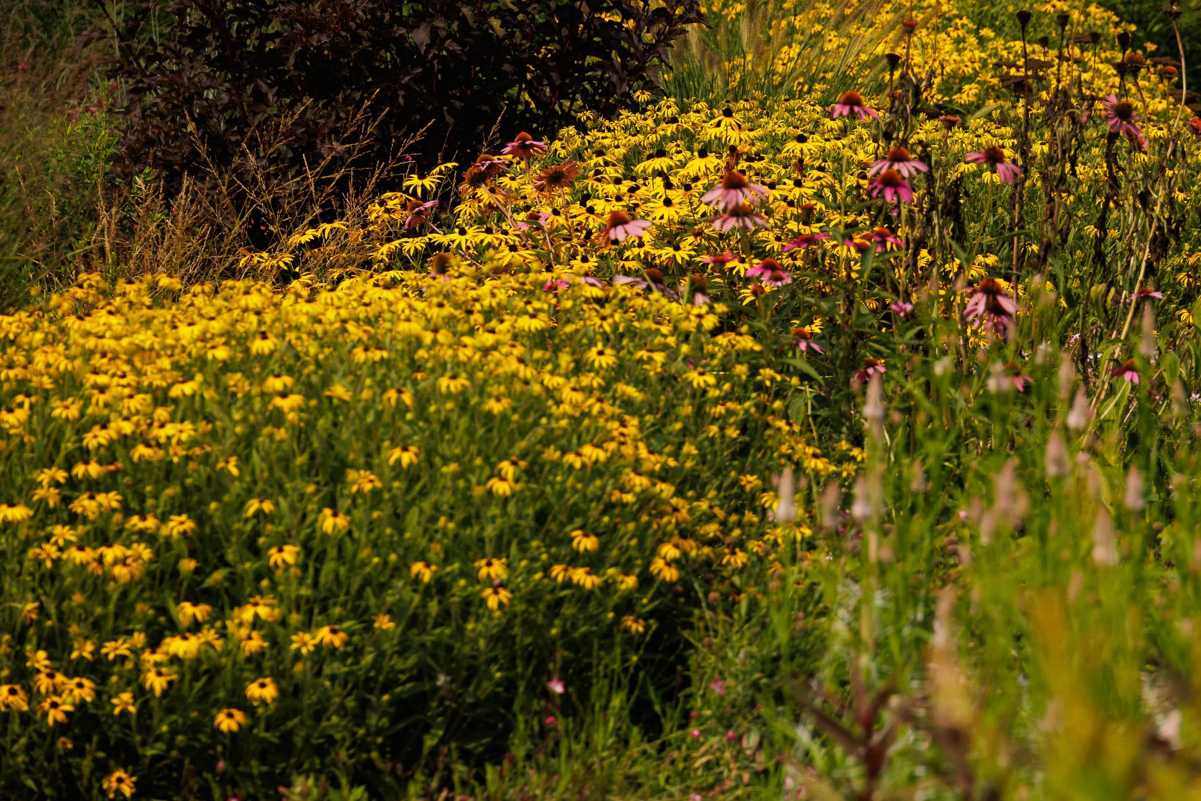 BEDFORD_FARMS_0825_00077-LOWRES.jpg
