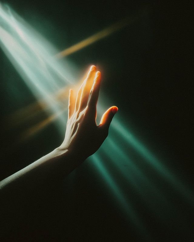 Megan Forrest • Somatic Coaching