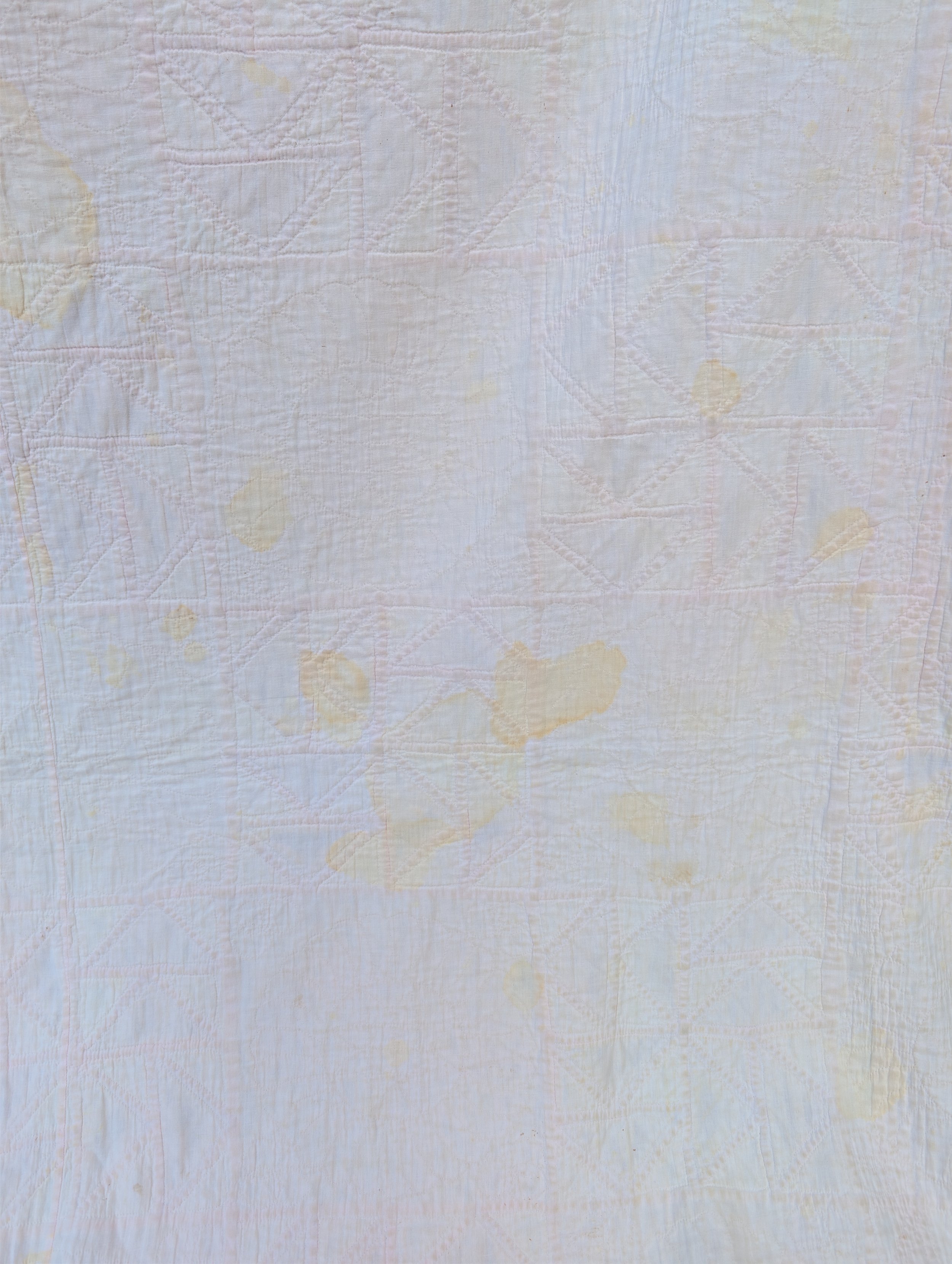 PXL_20260825_214059865.jpg
