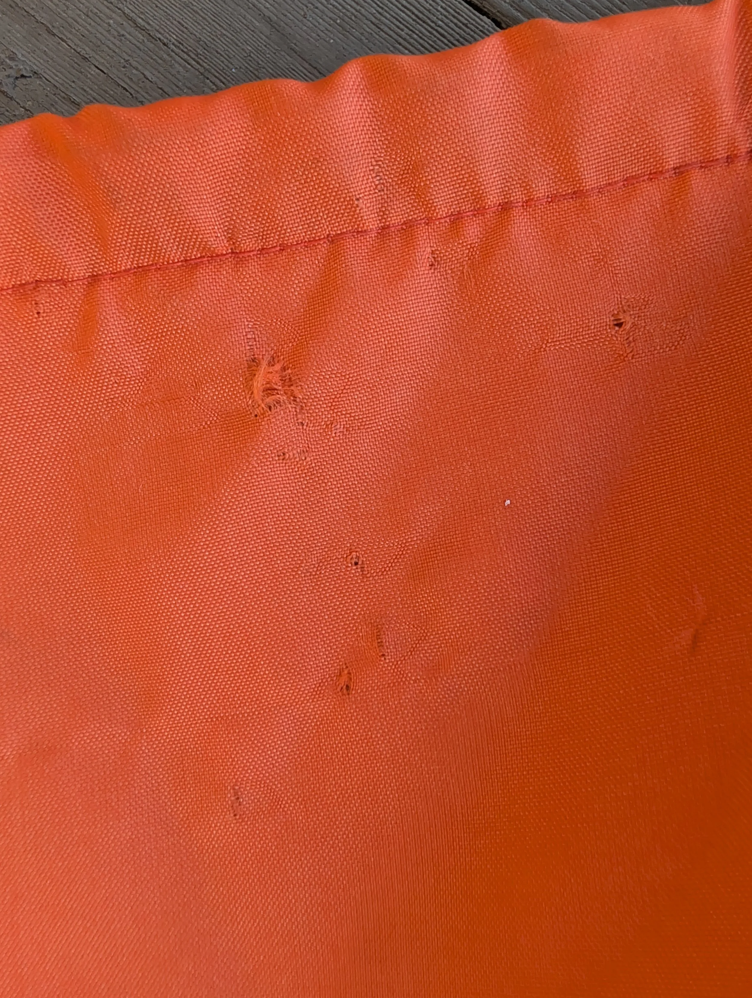 PXL_20261022_130811850.jpg