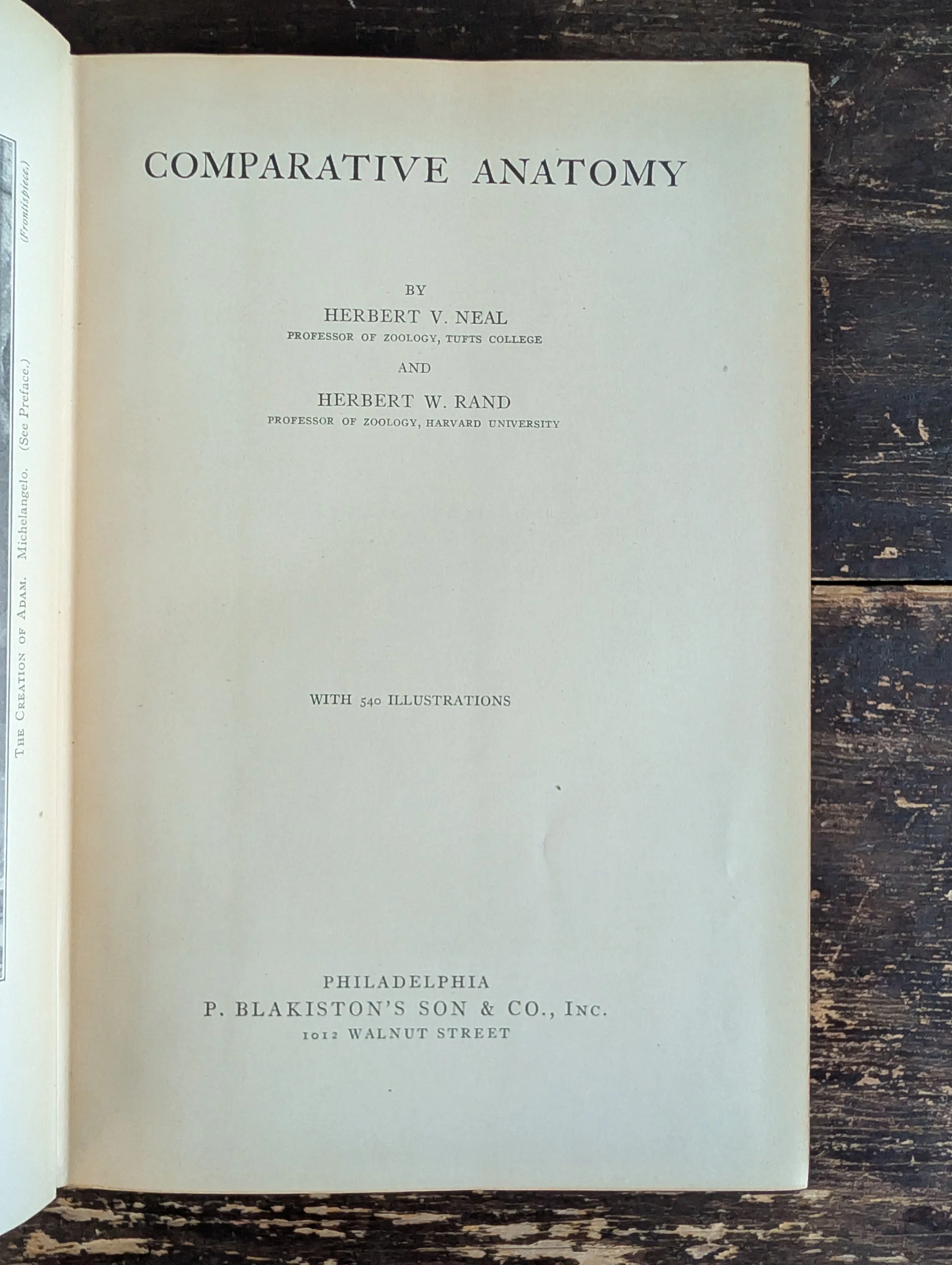 PXL_20251110_121955318.jpg