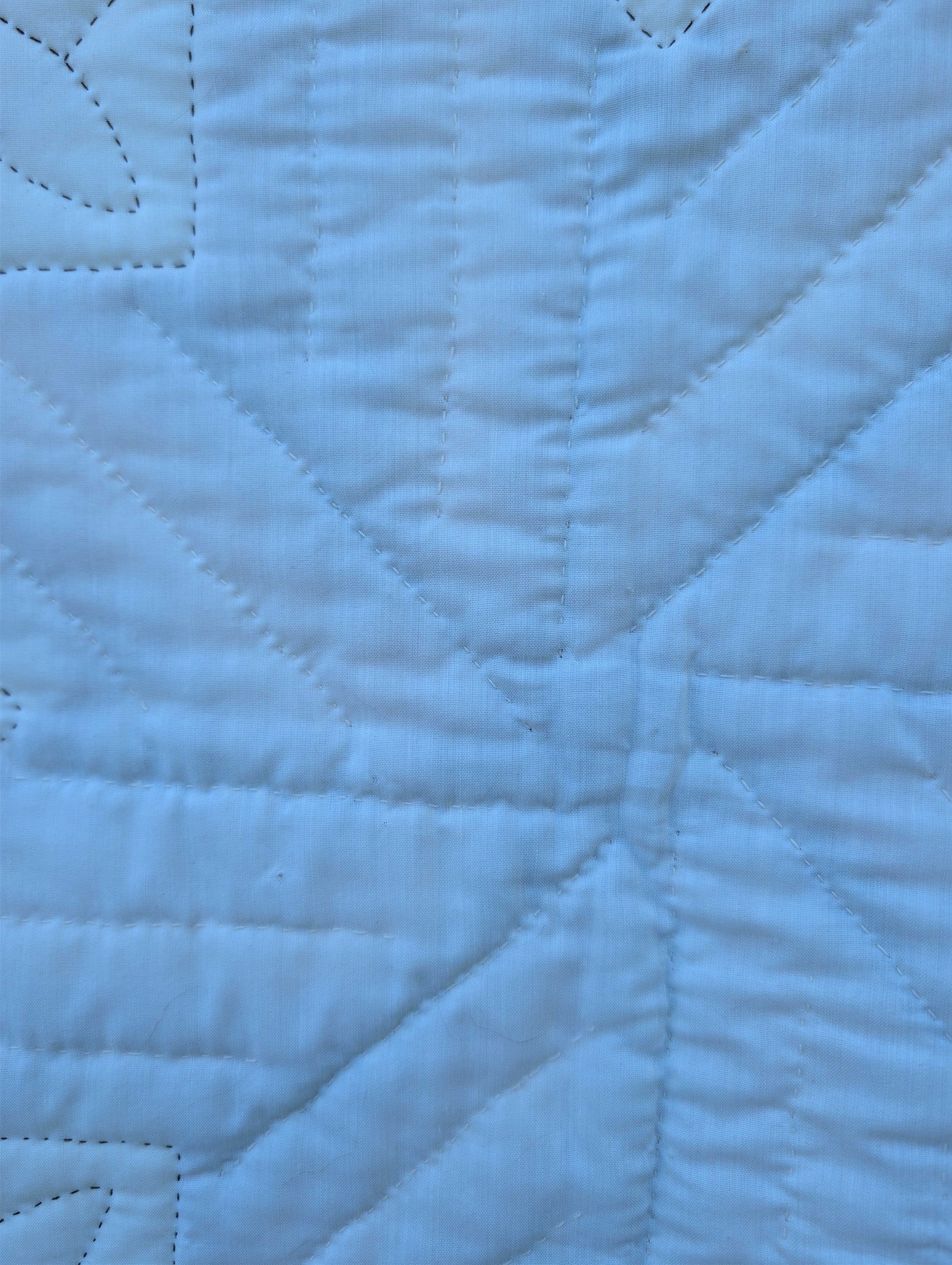 PXL_20261005_160106253.jpg