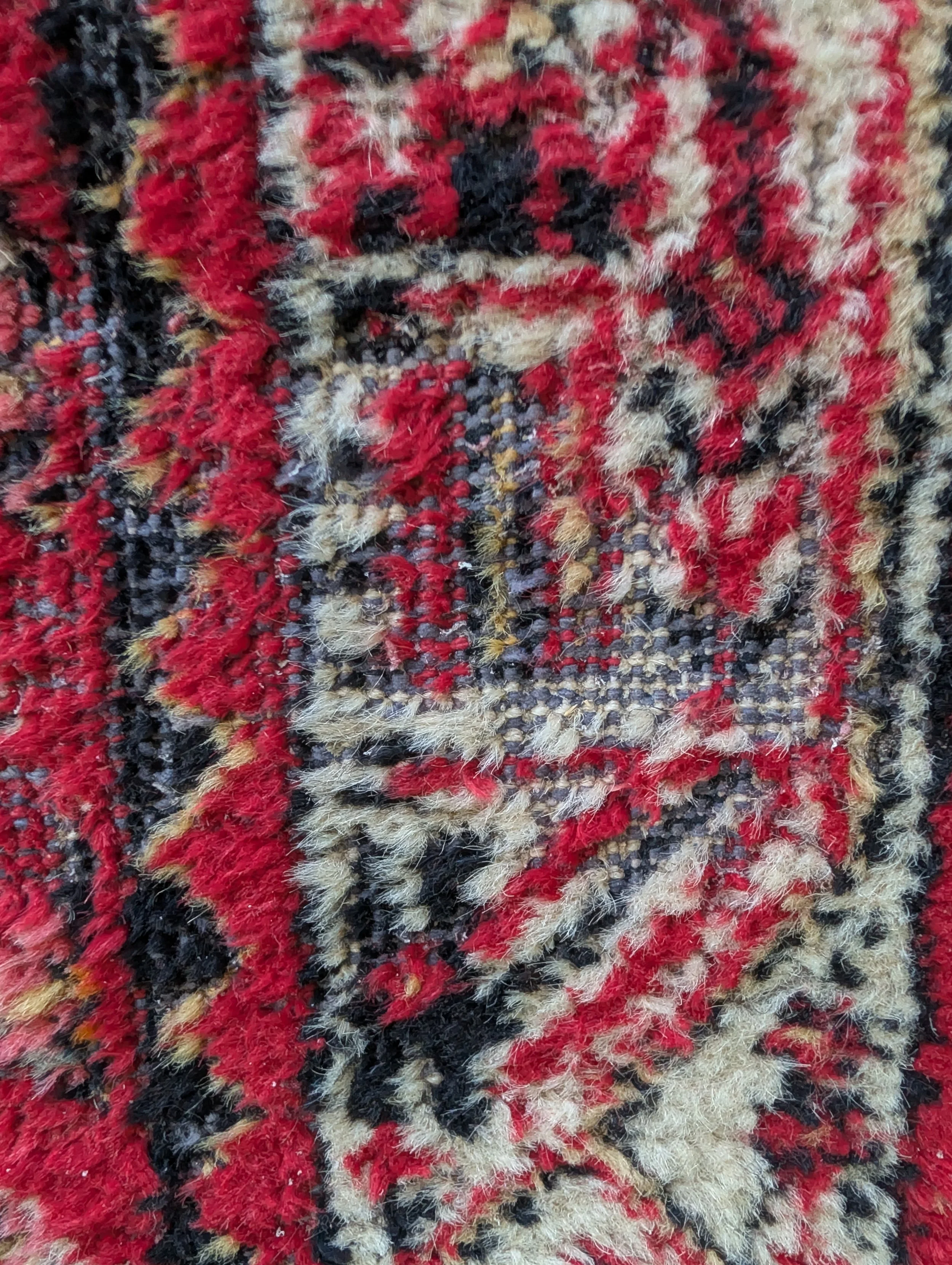 PXL_20261007_122114513.jpg
