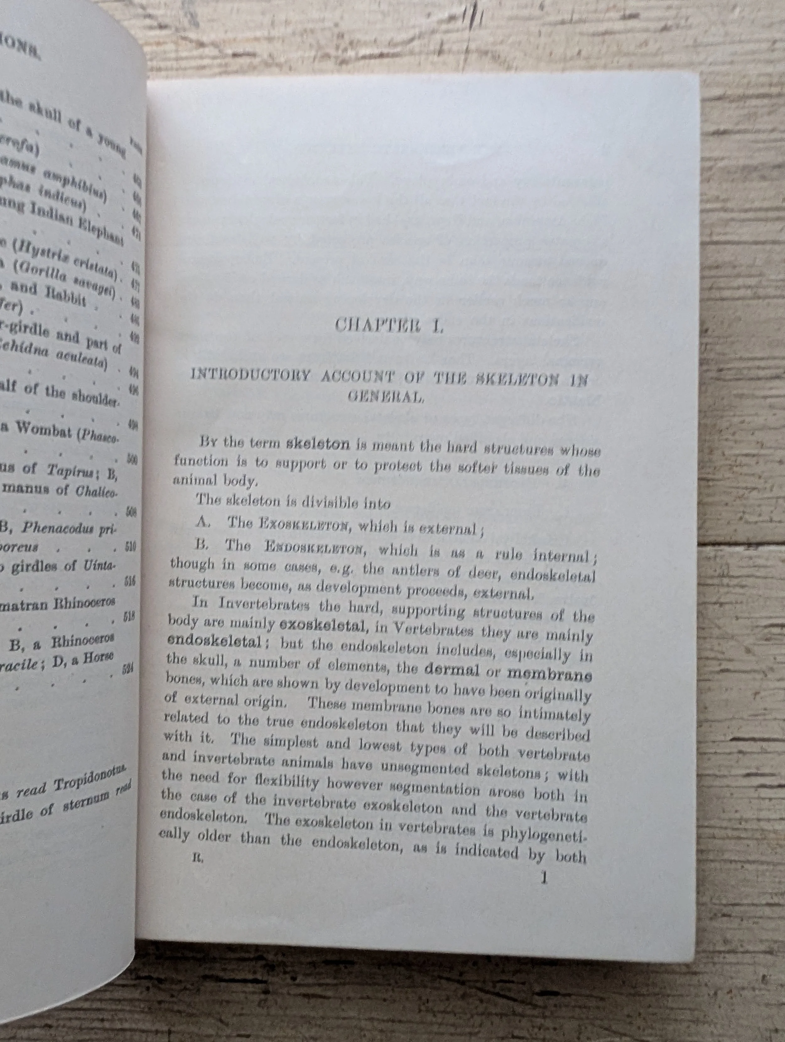 PXL_20250922_204734083.MP.jpg