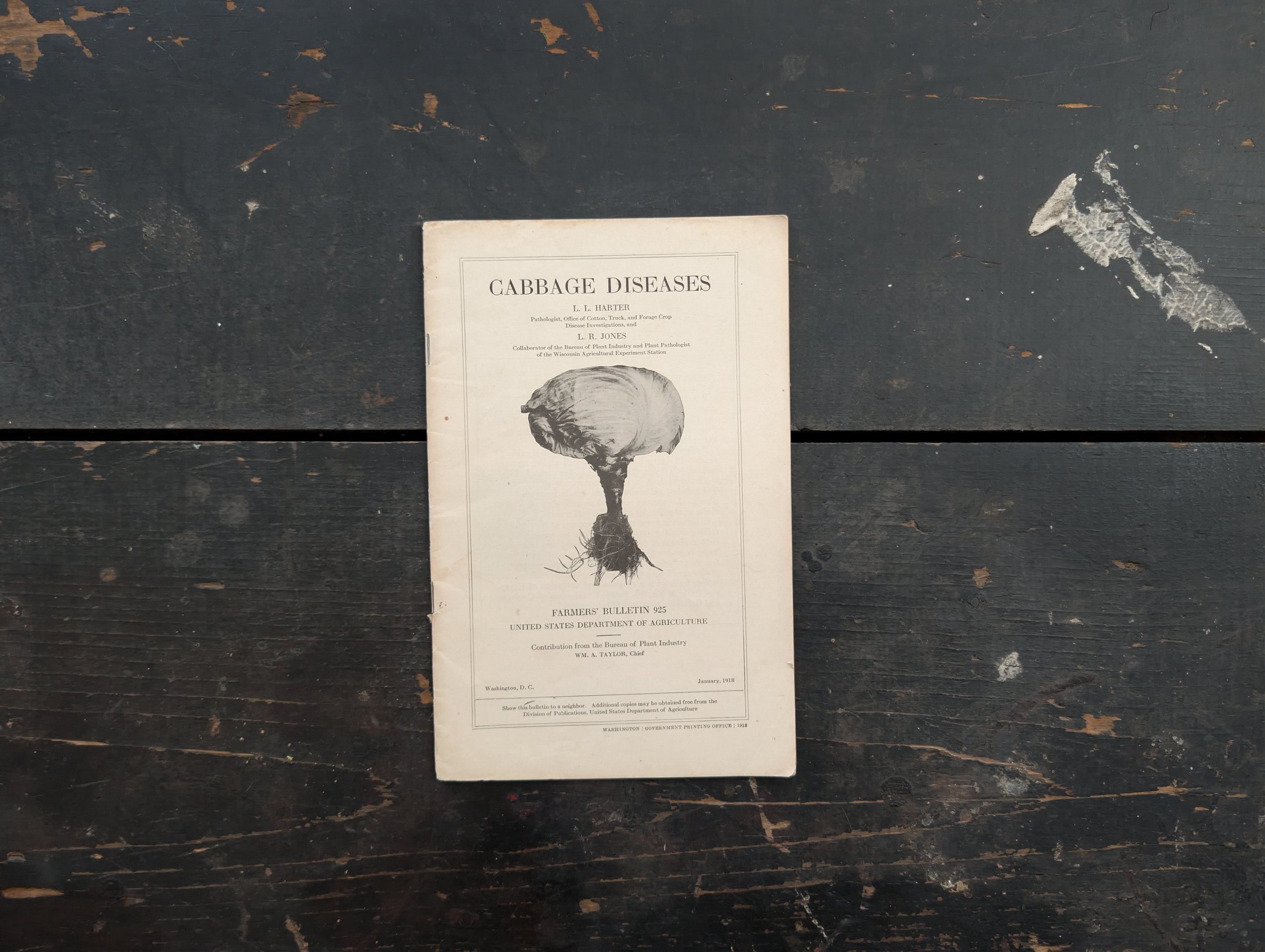 Antique (1918) Cabbage Diseases by L. L. Harter + L. R. Jones - Farmers' Bulletin 925.