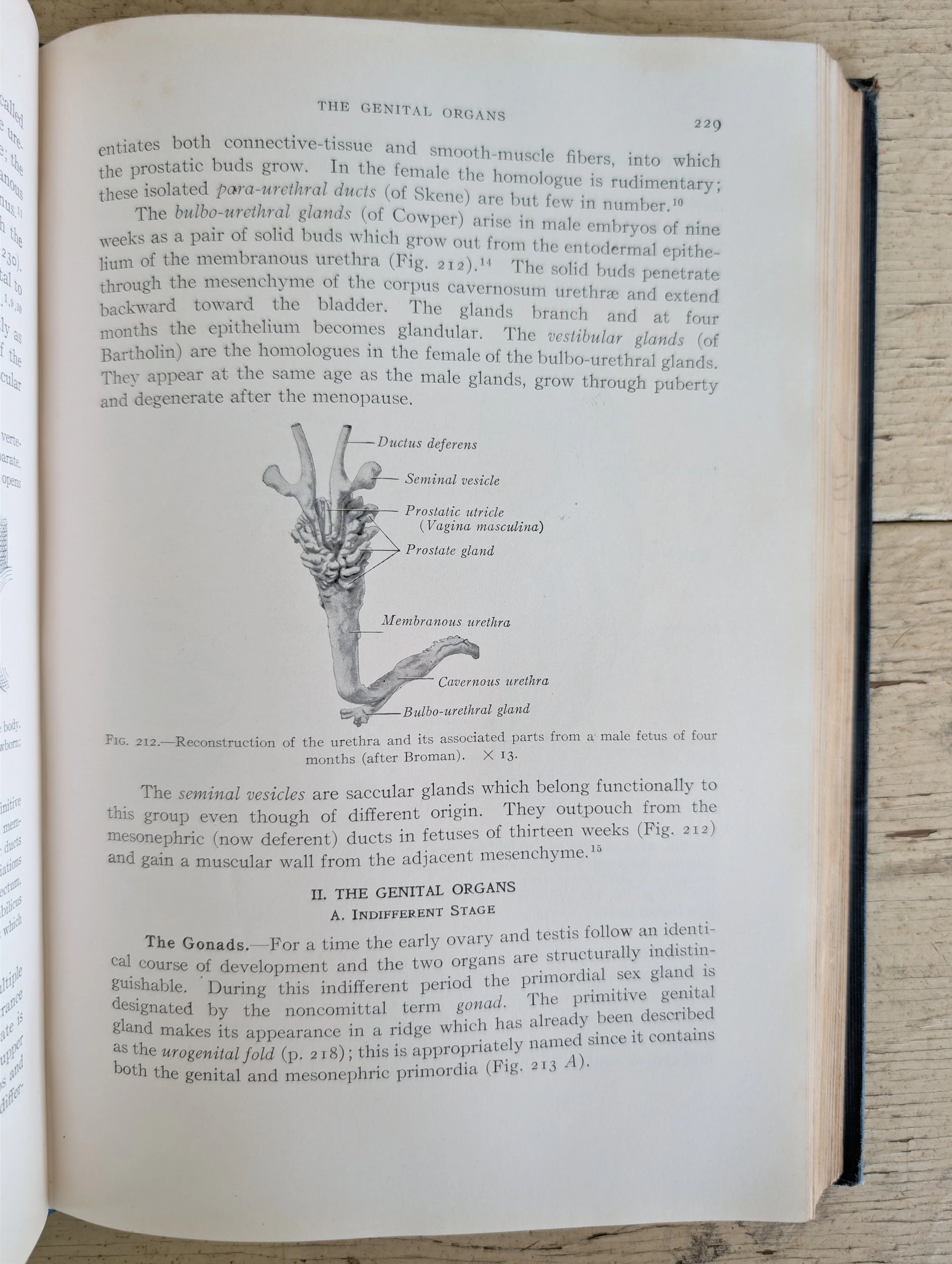 PXL_20260808_140441448.jpg