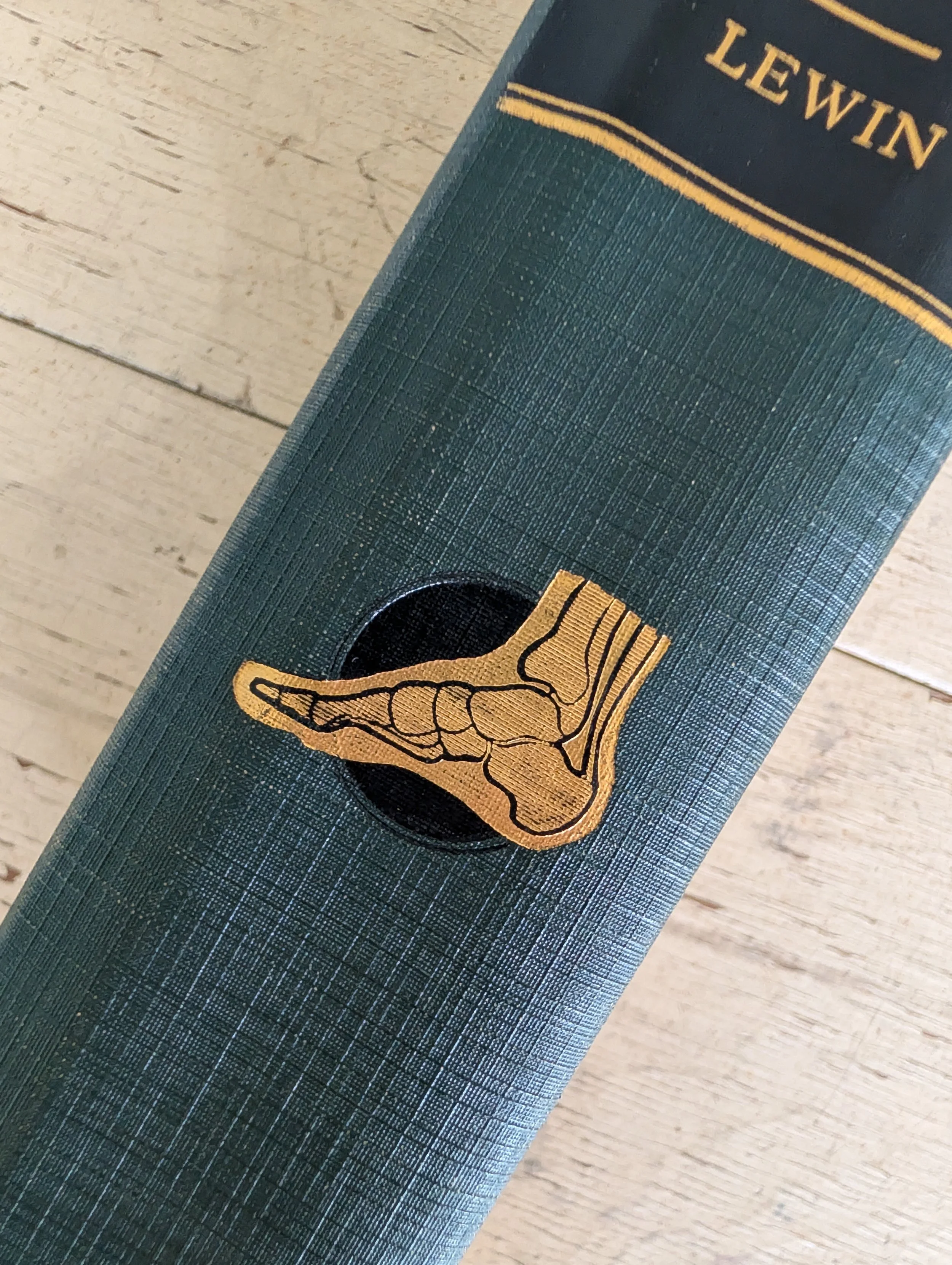 Vintage (1947) The Foot and Ankle : Their Injuries, Diseases, Deformities and Disabilities by Philip Lewin, M.D., F.A.C.S. - Illustrated.