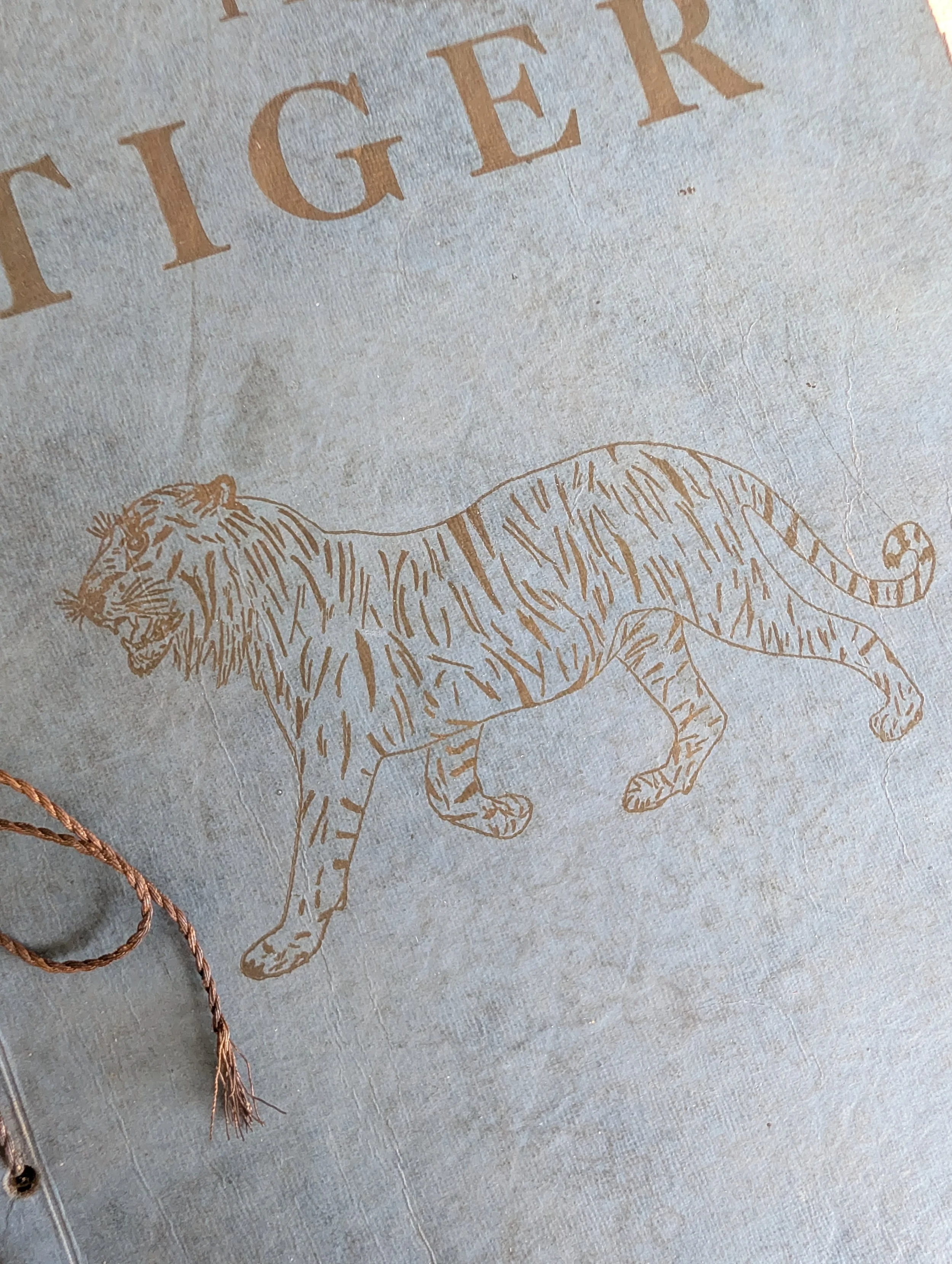 Antique (1926) The Tiger School Yearbook From Dover High School in Dover, New Jersey.