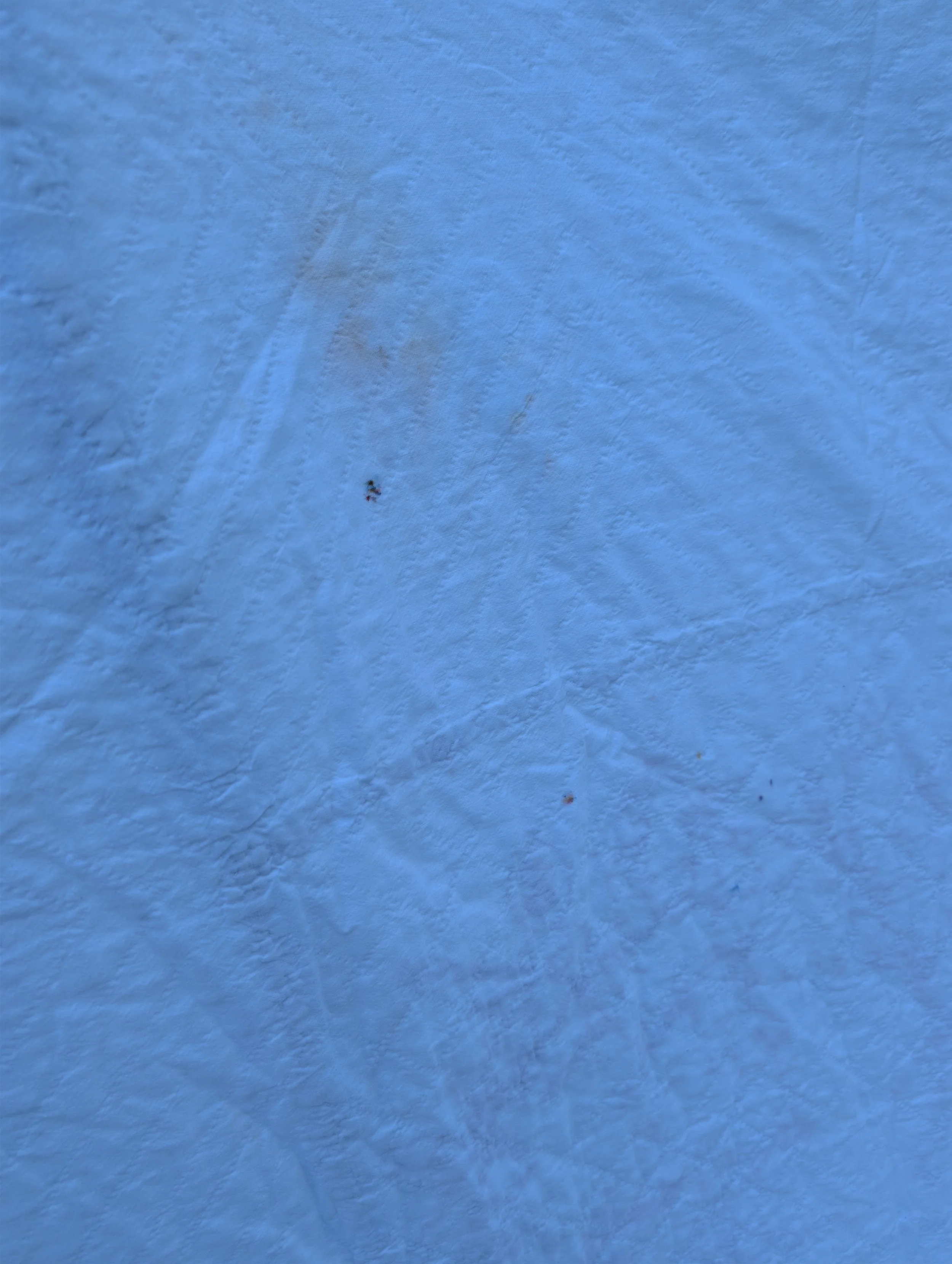 PXL_20261018_192621268.jpg
