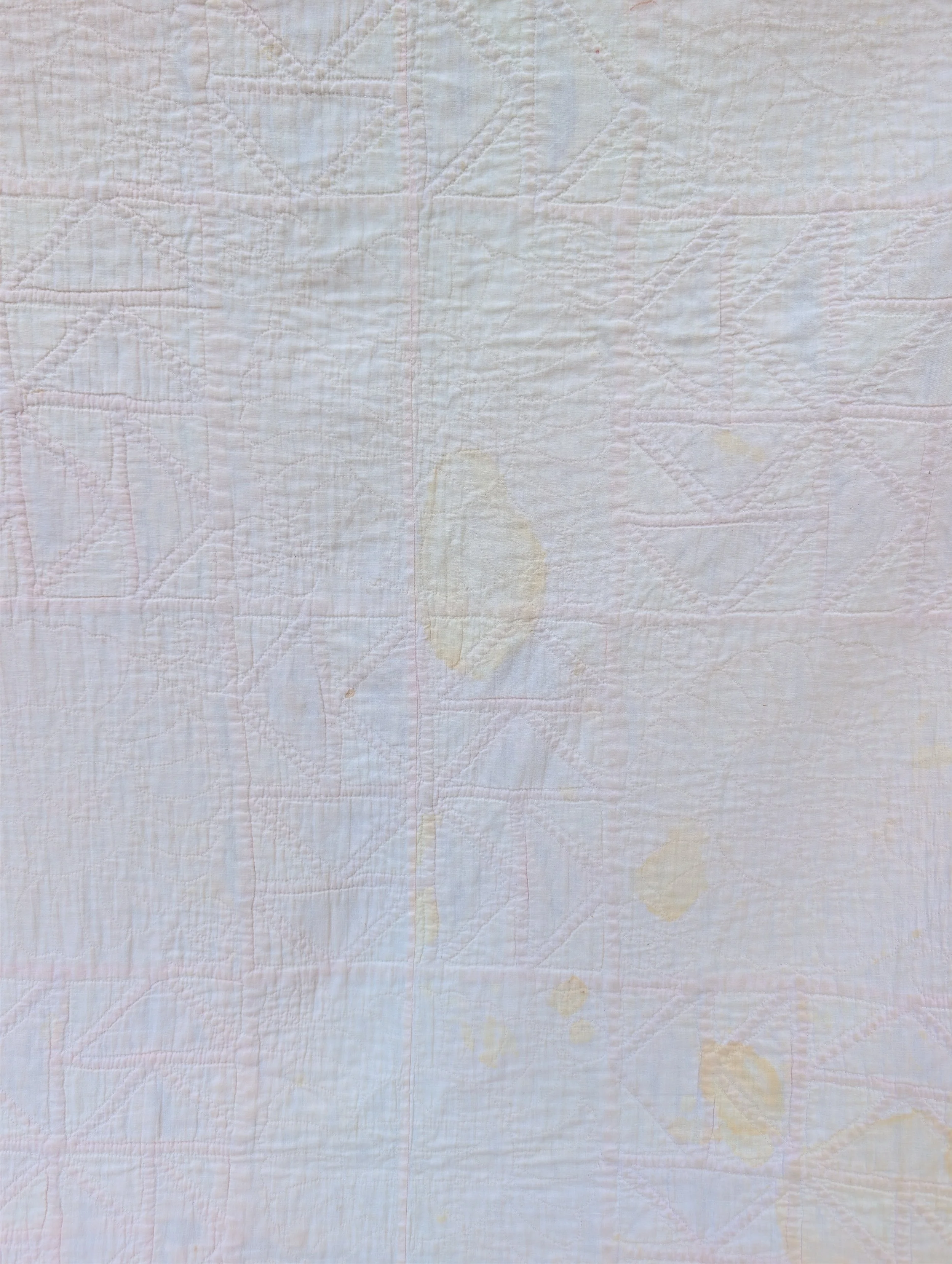 PXL_20260825_214056368.jpg