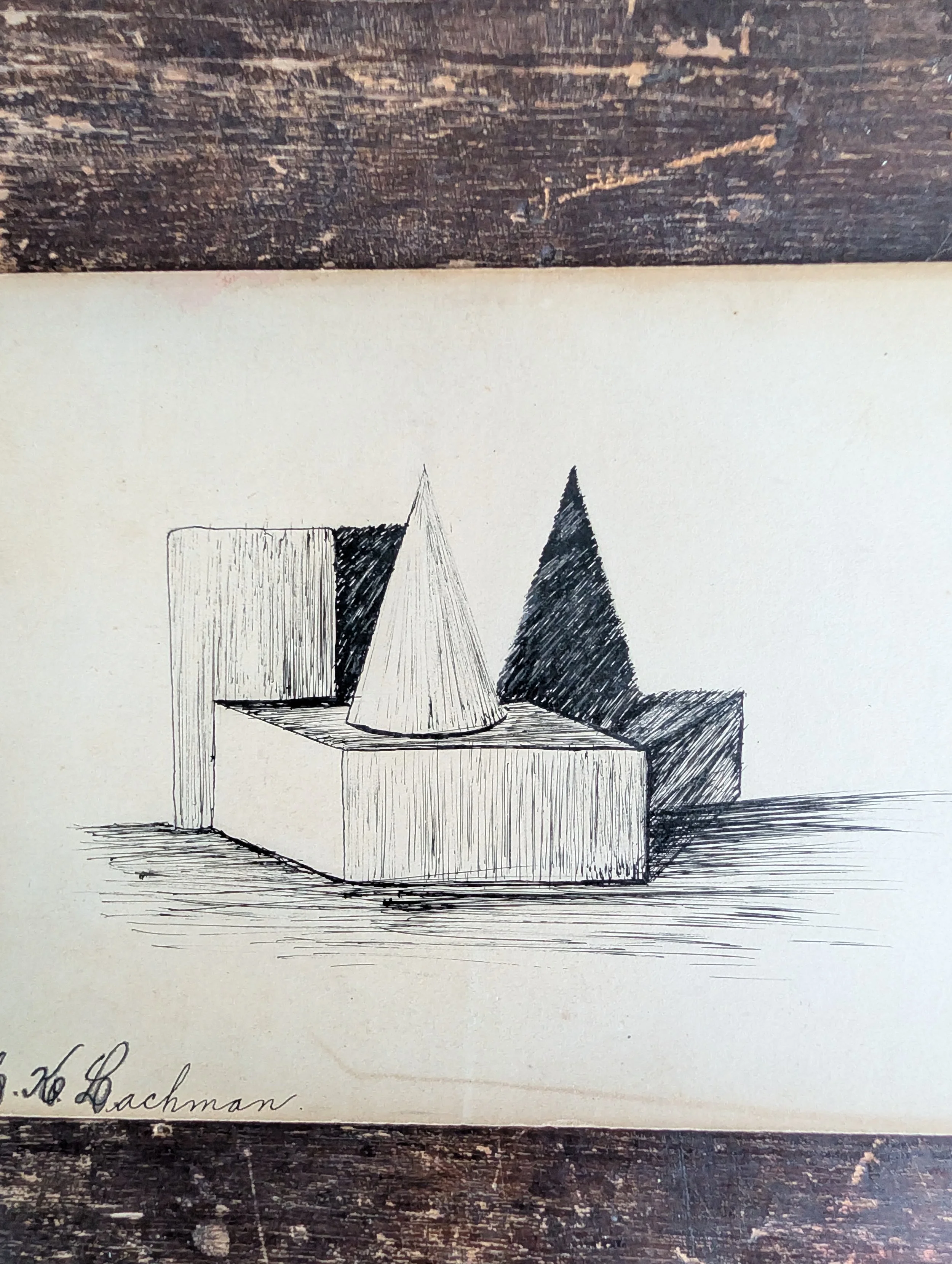 PXL_20251120_204450369.jpg