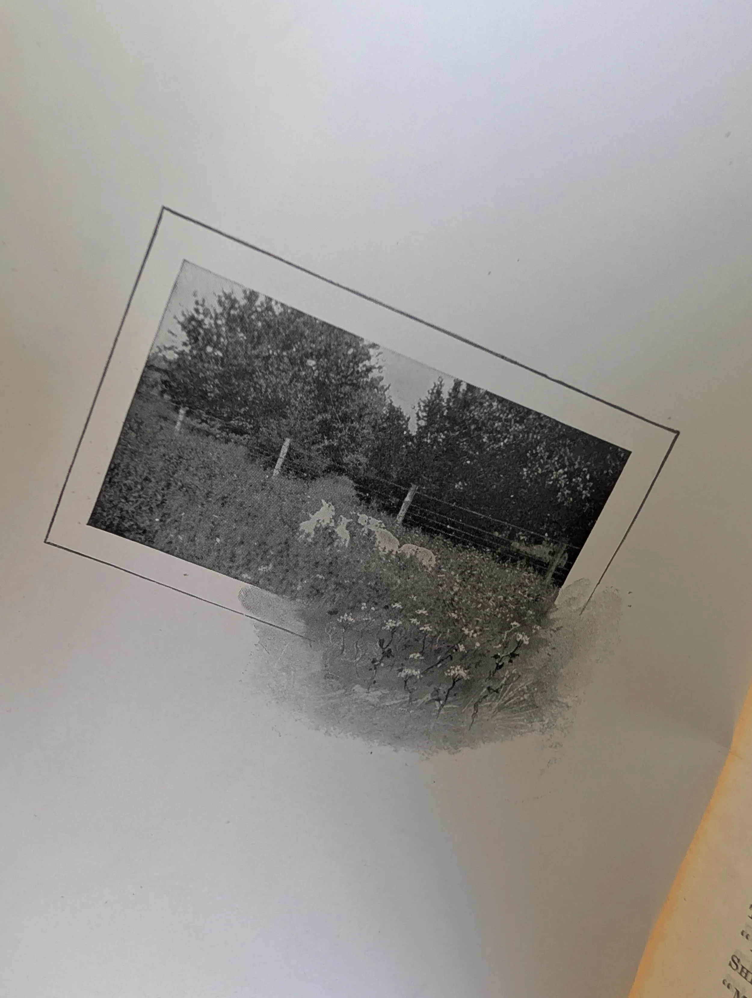PXL_20260531_230301205.jpg
