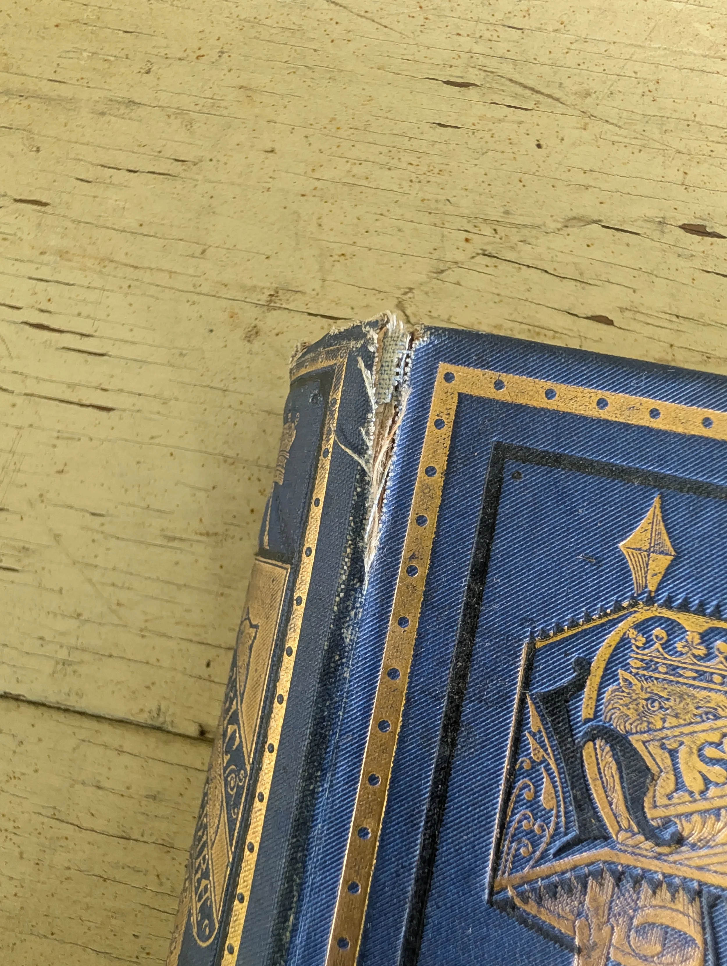 PXL_20260821_183857556.jpg