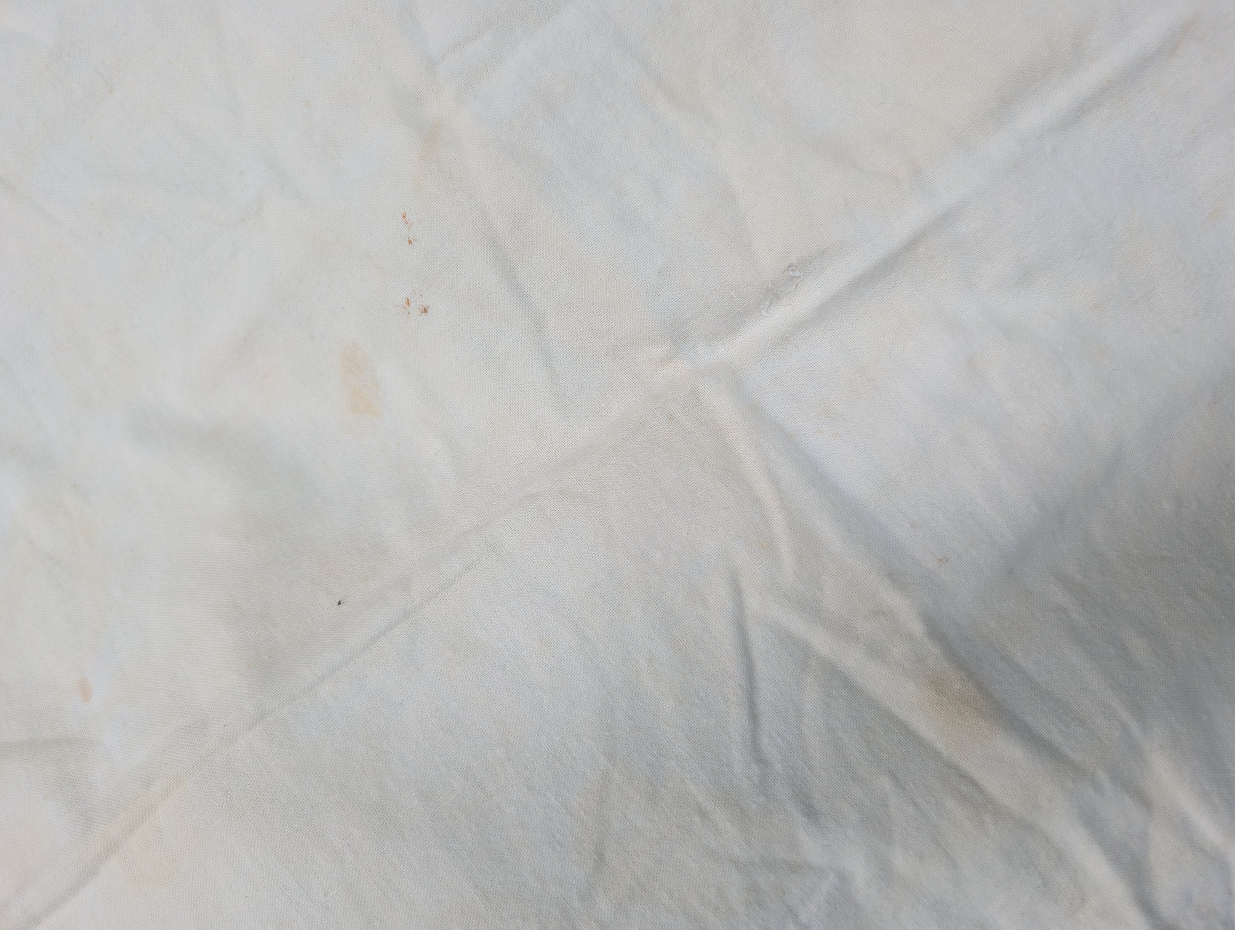 PXL_20260726_205108340.jpg