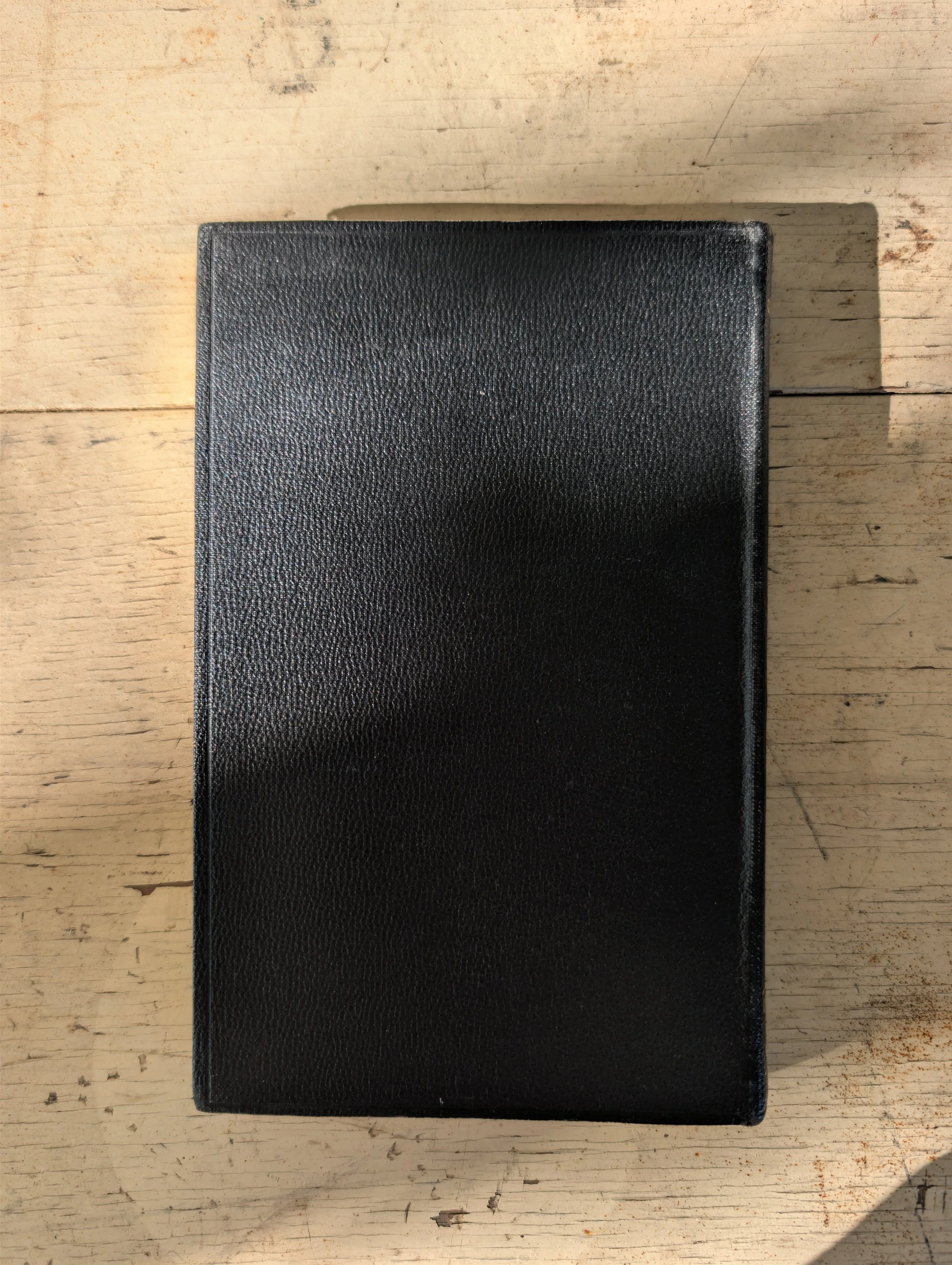 PXL_20261026_144344155.jpg
